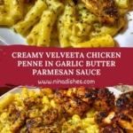 Creamy Velveeta Chicken Penne in Garlic Butter Parmesan Sauce Pin