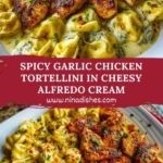 Spicy Garlic Chicken Tortellini in Cheesy Alfredo Cream Pin