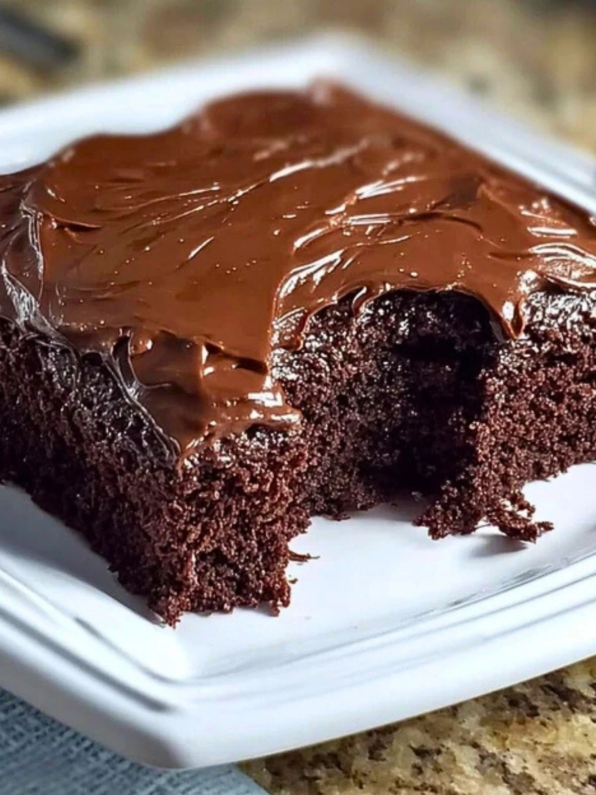 Chocolate Depression Cake 2