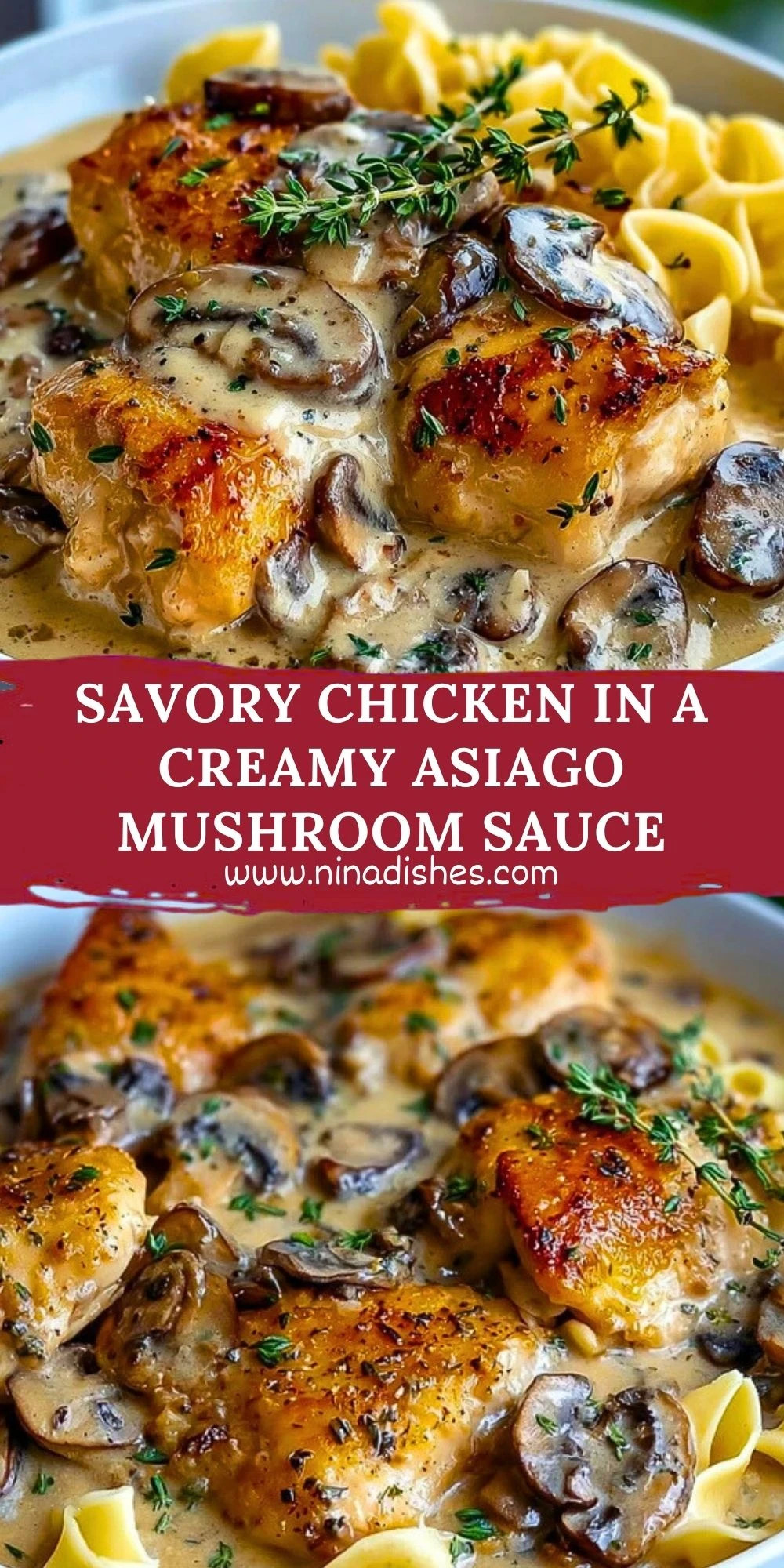 Savory Chicken in a Creamy Asiago Mushroom Sauce Pin 1
