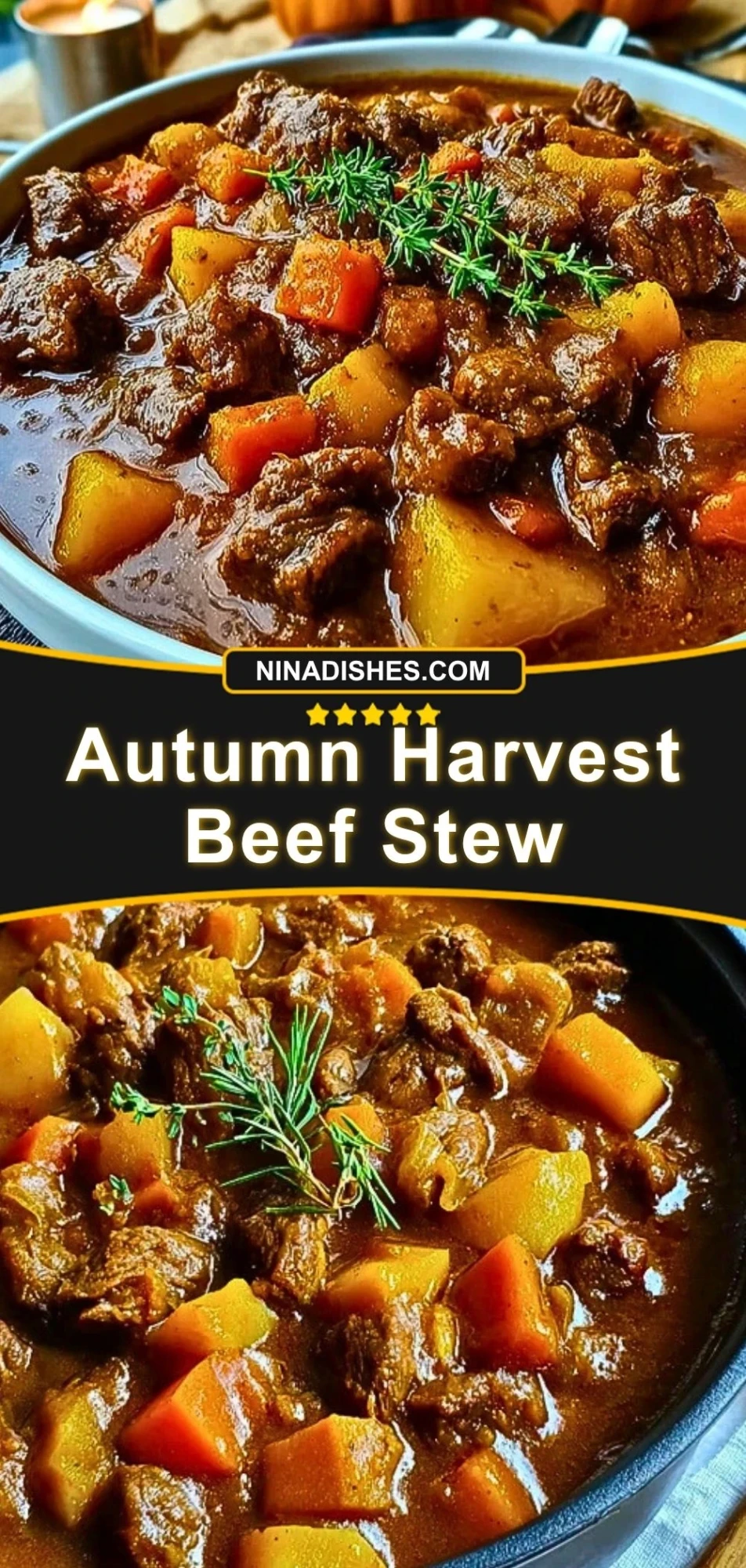 Autumn Harvest Beef Stew Pin 2