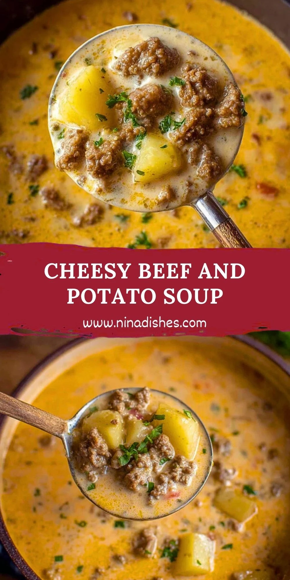 Cheesy Beef and Potato Soup (2)