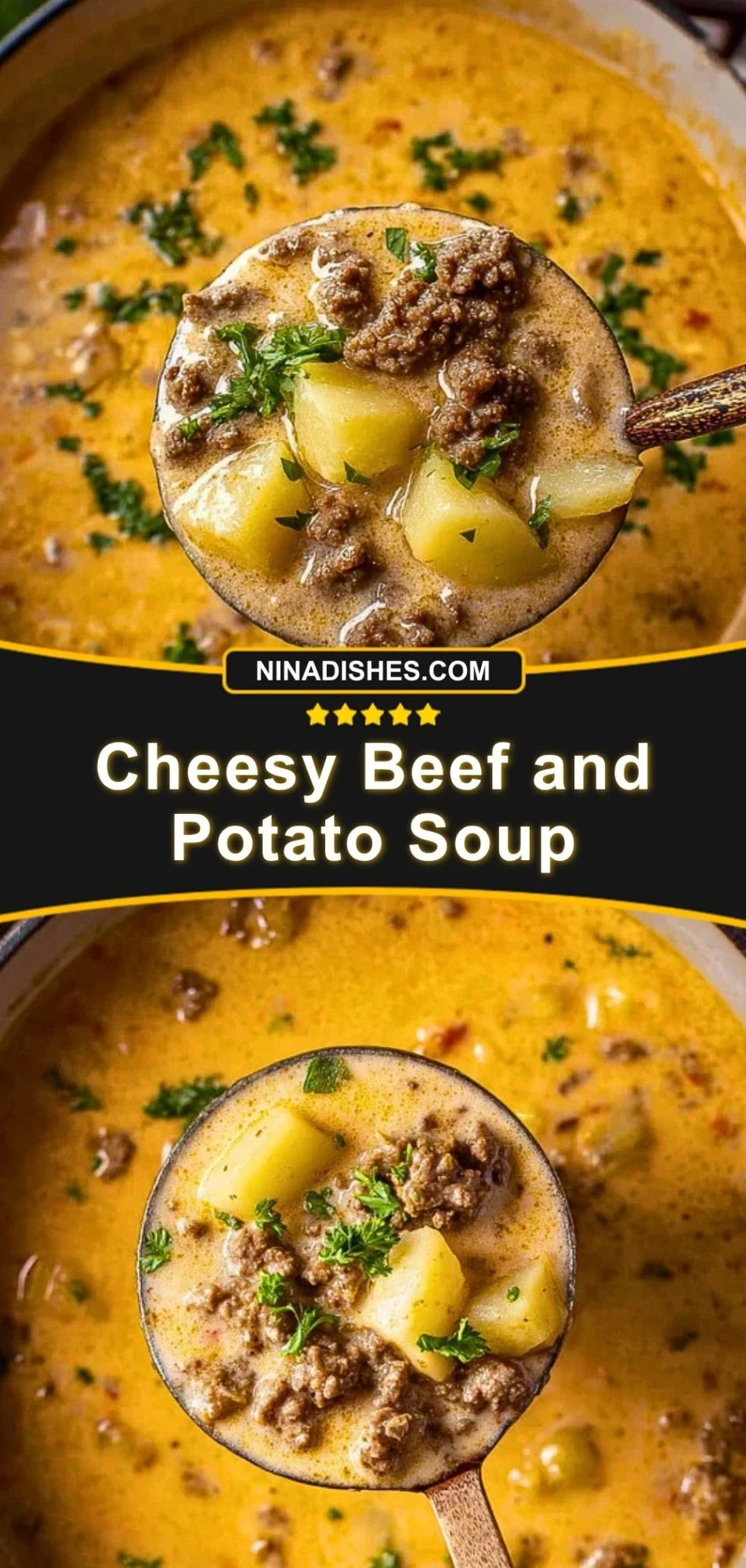 Cheesy Beef and Potato Soup (3)