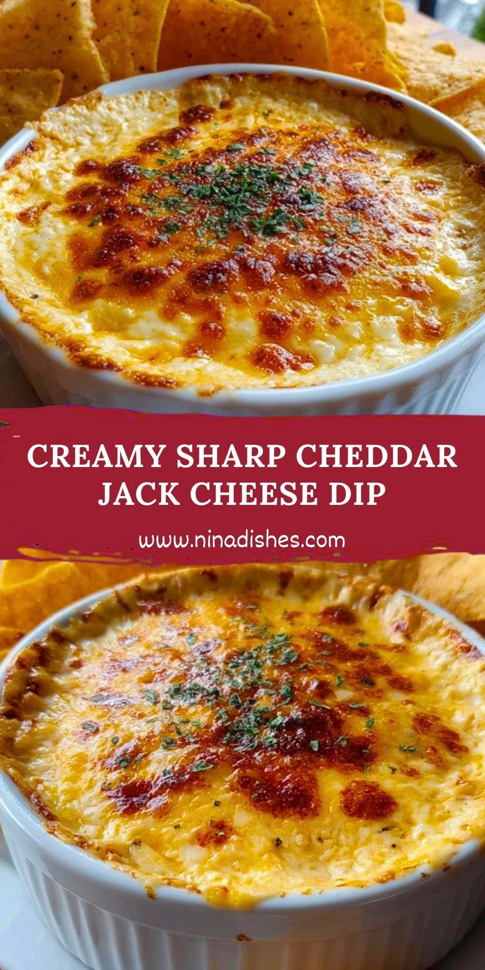 Creamy Sharp Cheddar Jack Cheese Dip (2)