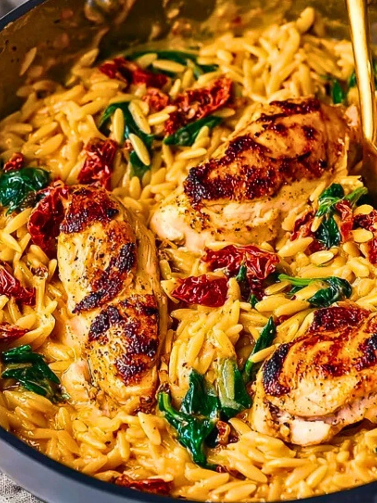 Creamy Sun-Dried Tomato Chicken Orzo 2