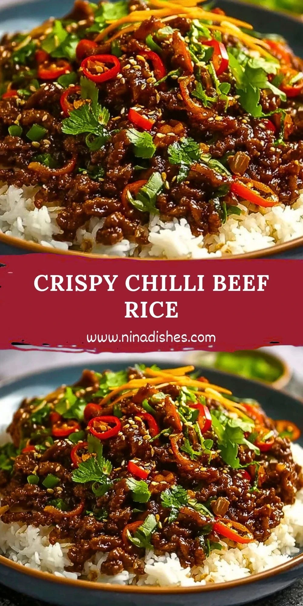 Crispy Chilli Beef Rice Pin 1