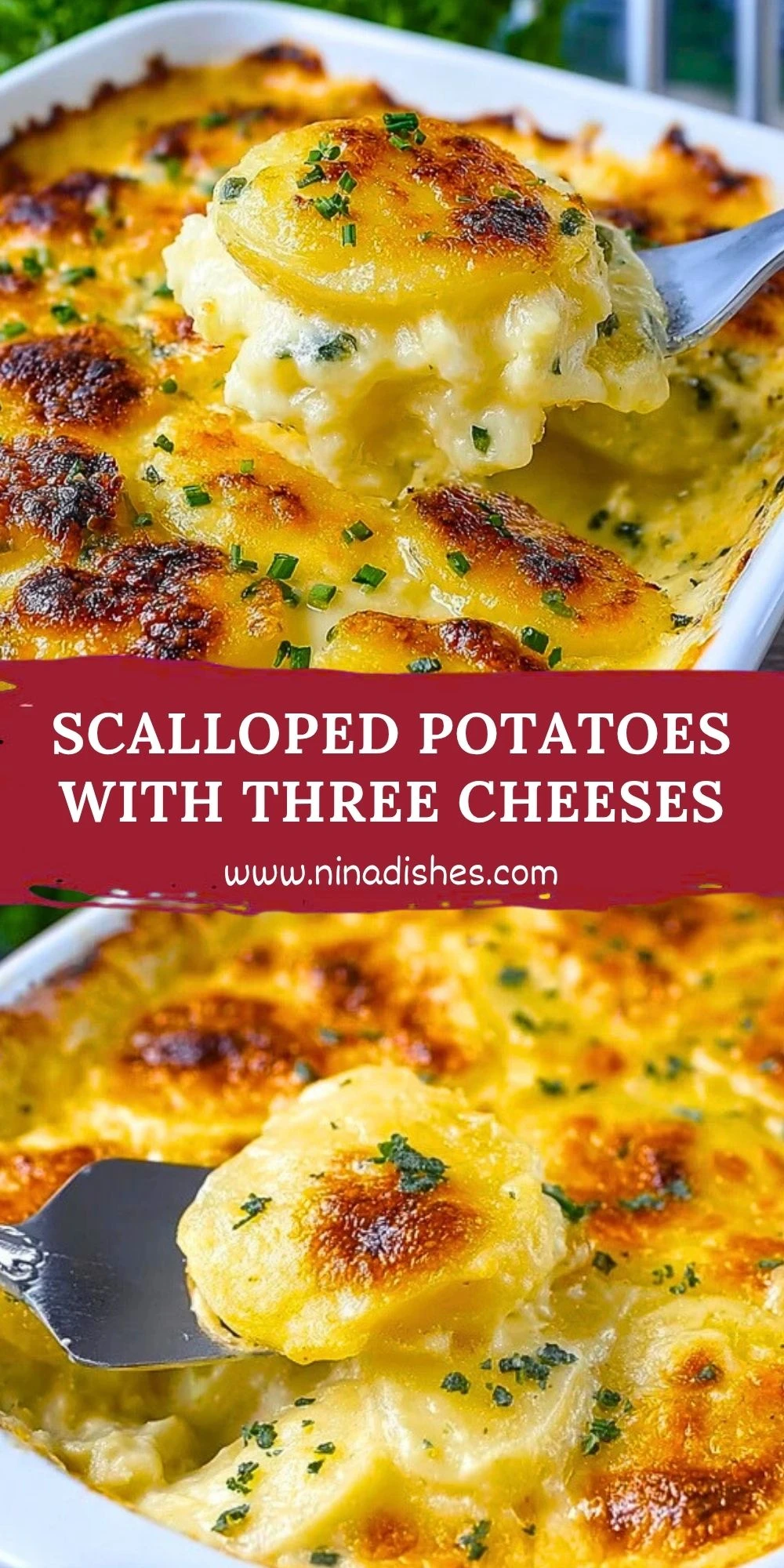 Scalloped Potatoes with Three Cheeses Pin 1