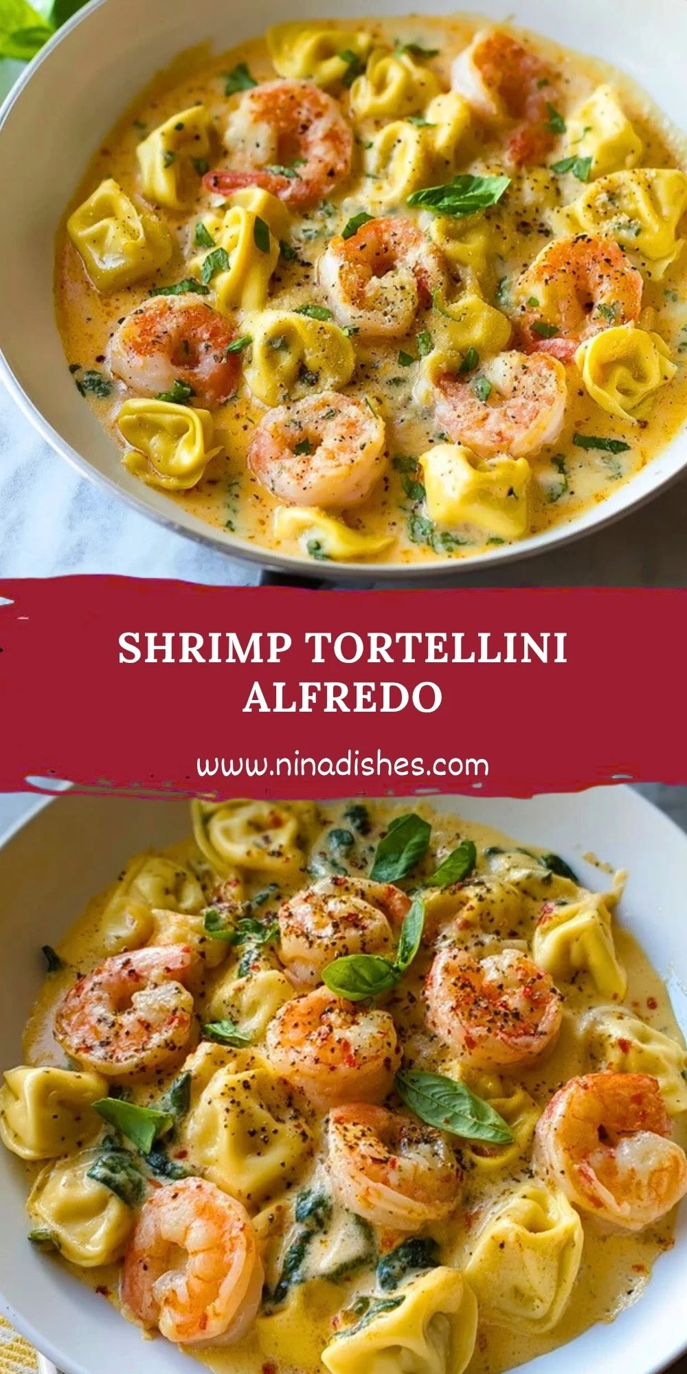 Shrimp Tortellini Alfredo Pin 1