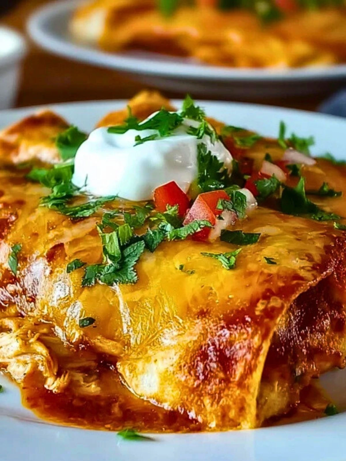 Ultimate Quick and Easy Chicken Enchiladas 2