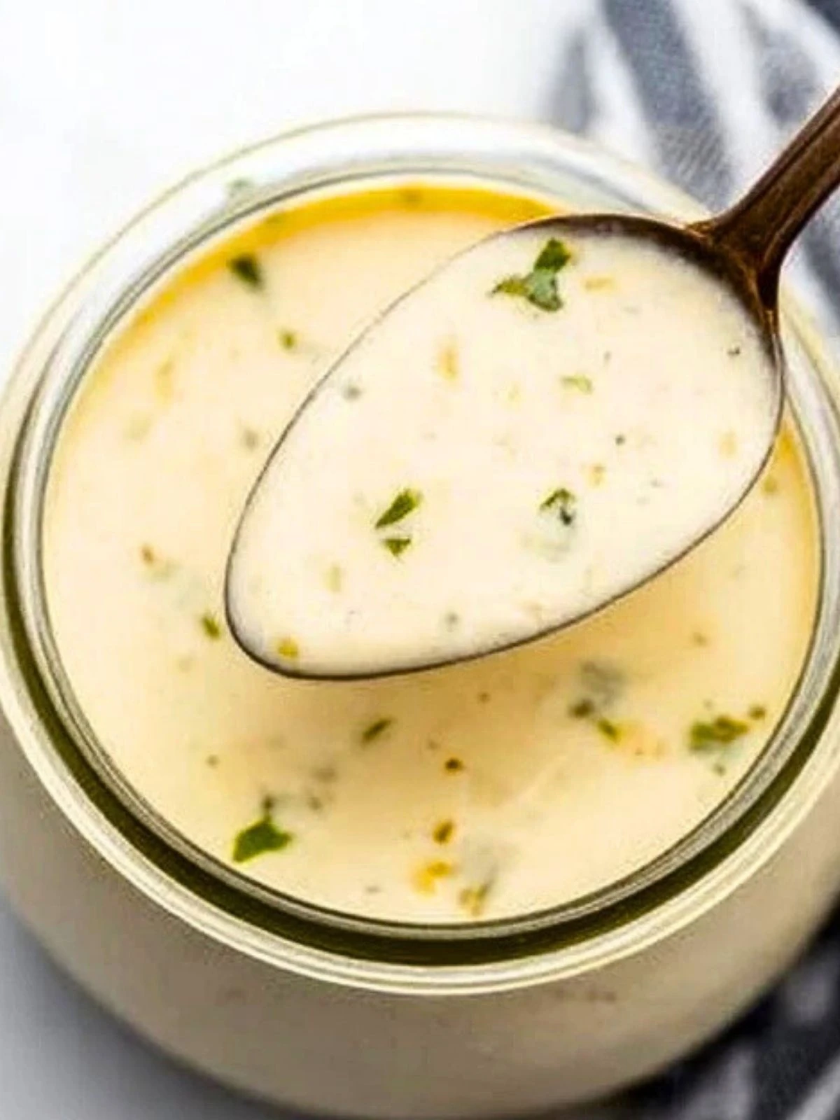 15 Minute Garlic Parmesan Sauce (1)