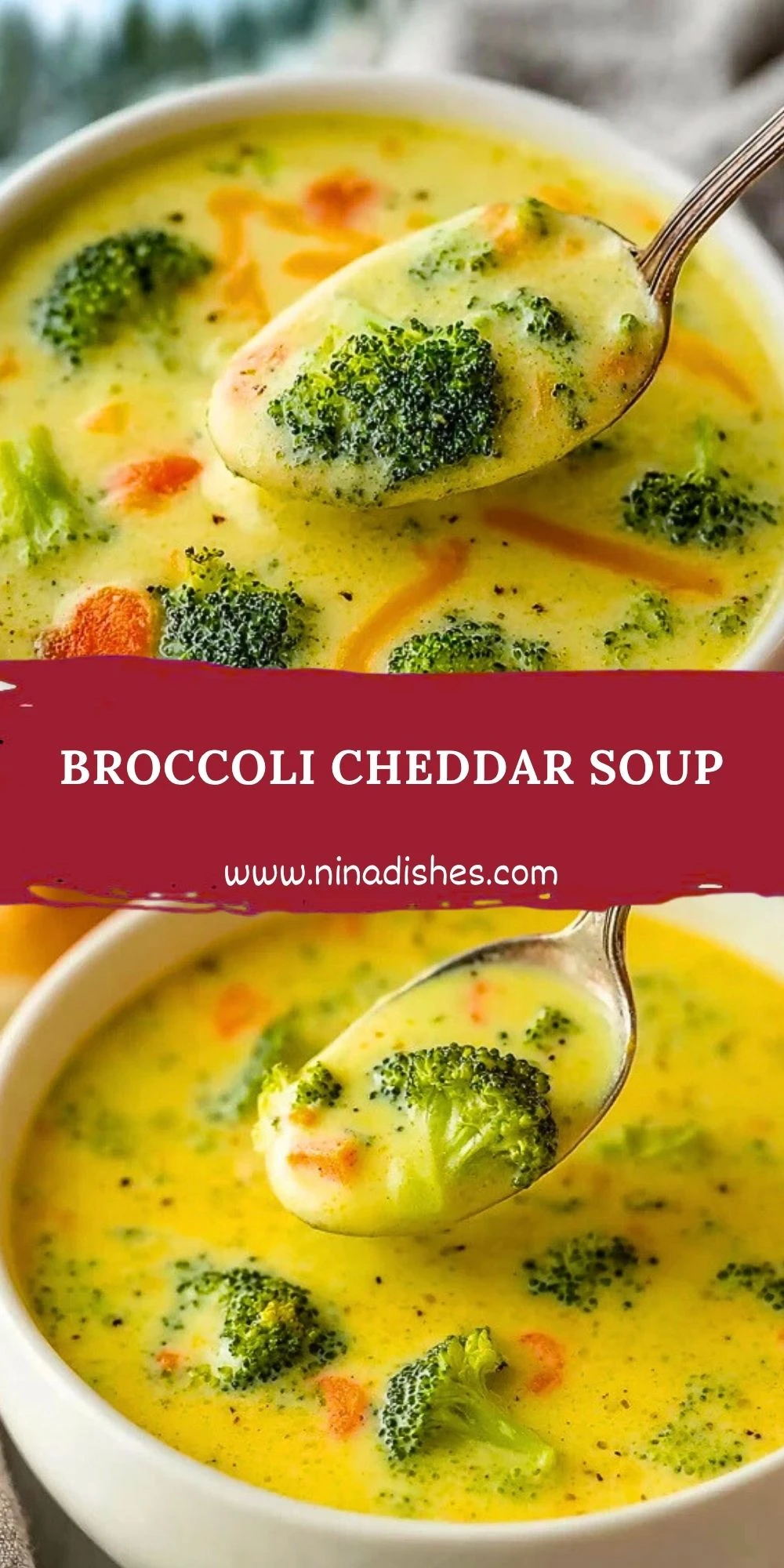 Broccoli Cheddar Soup (2)