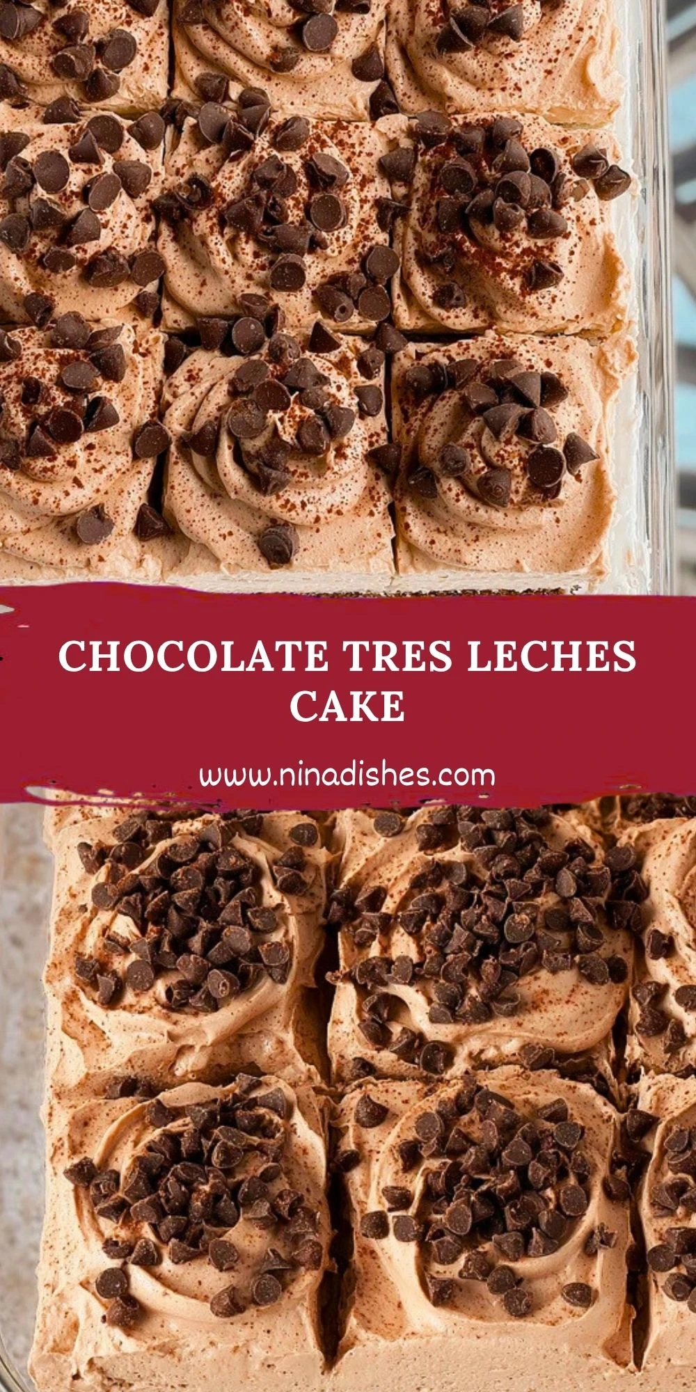 Chocolate Tres Leches Cake (2)