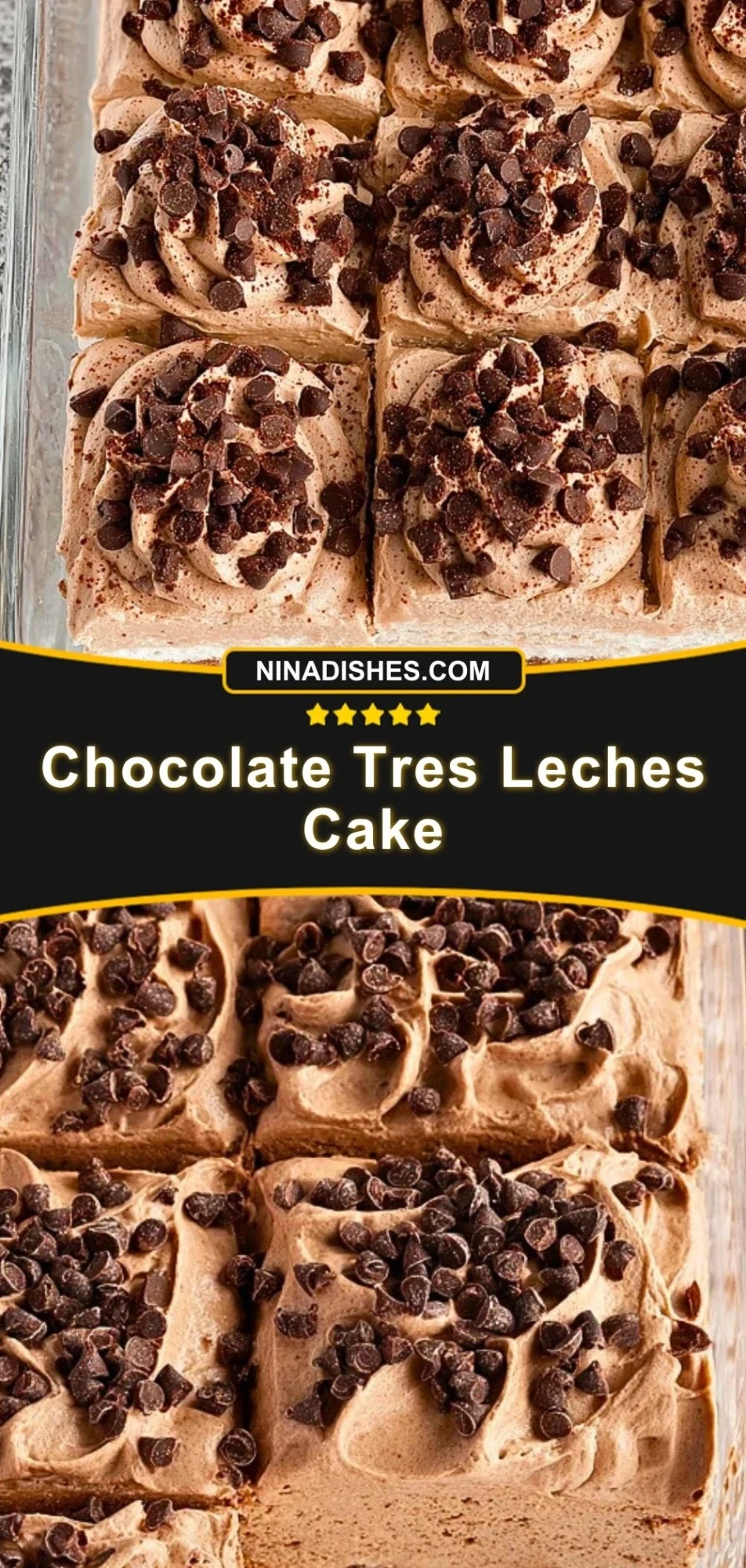 Chocolate Tres Leches Cake (3)