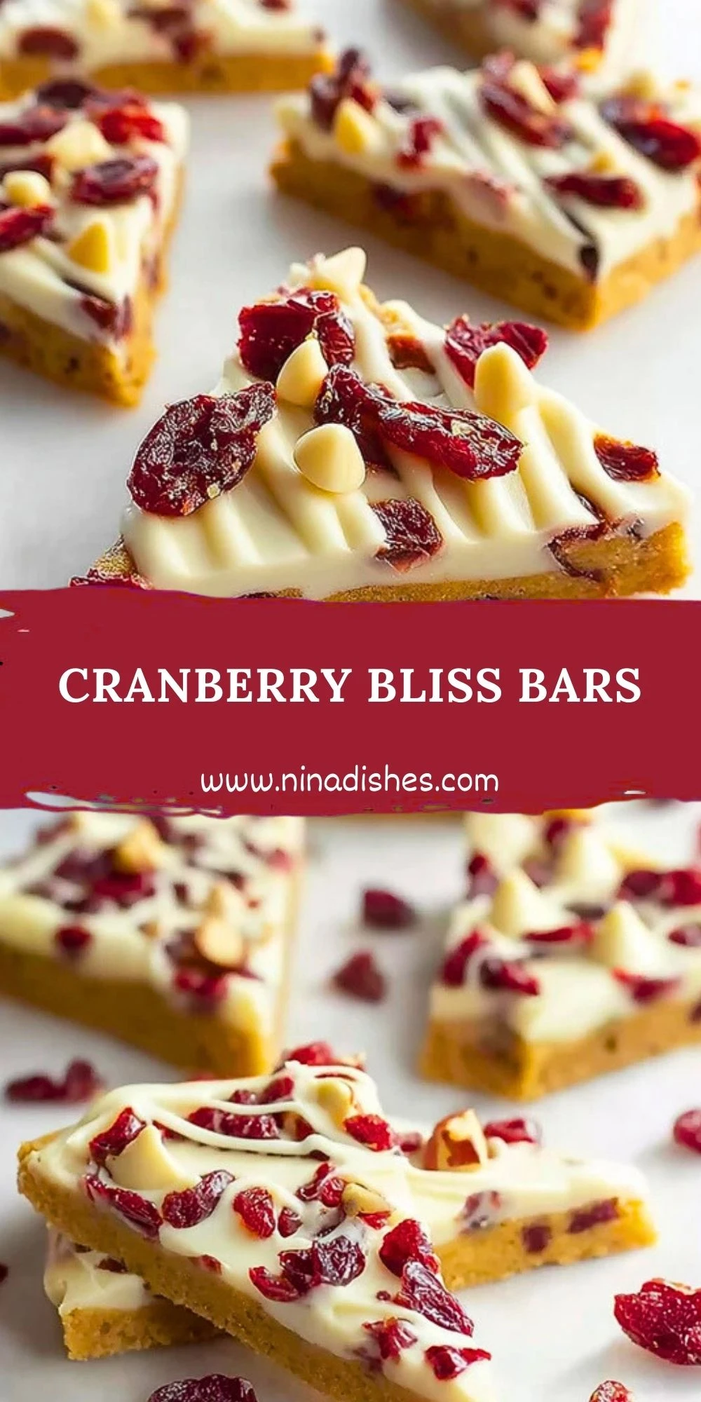 Cranberry Bliss Bars (2)