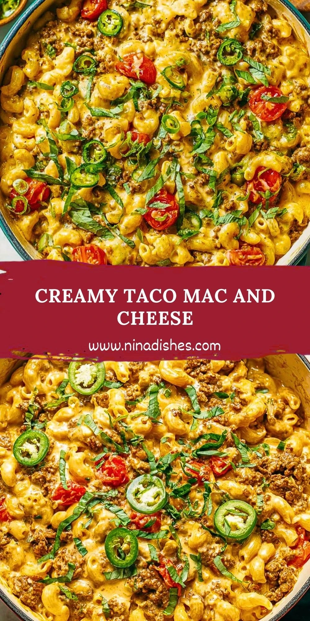 Creamy Chicken Pasta Salad