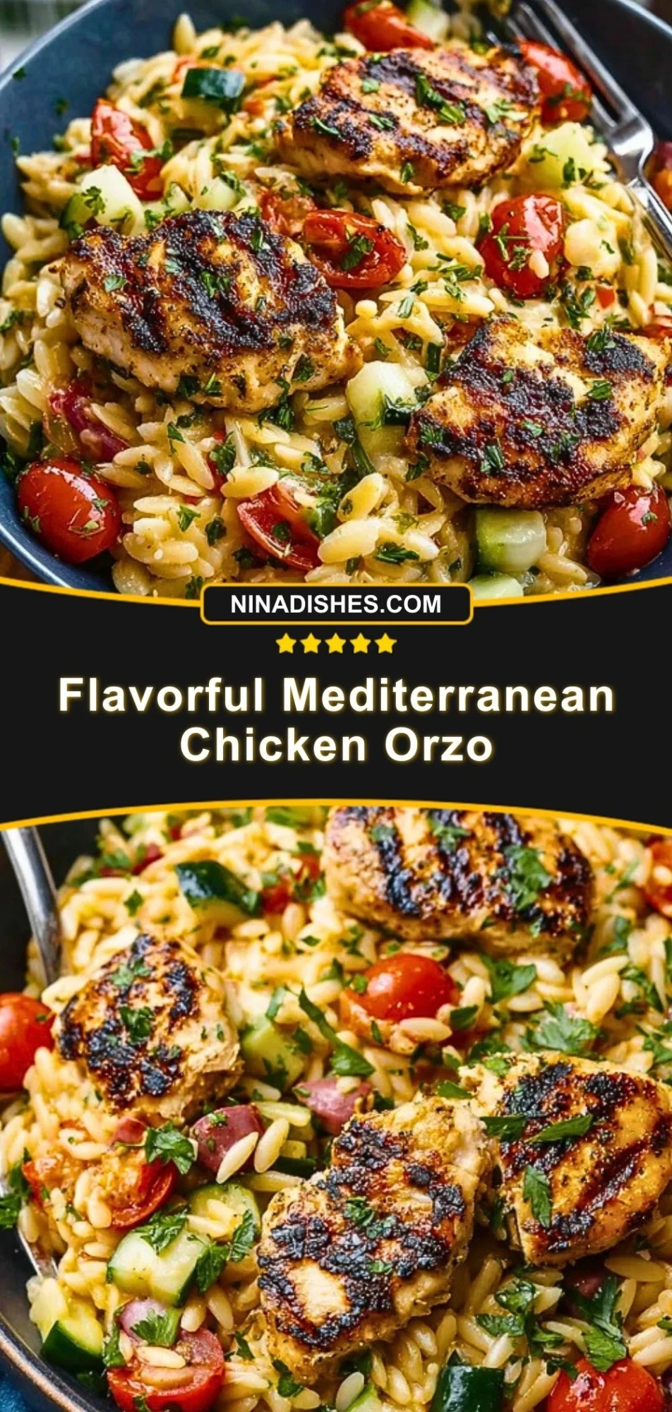 Flavorful Mediterranean Chicken Orzo (3)