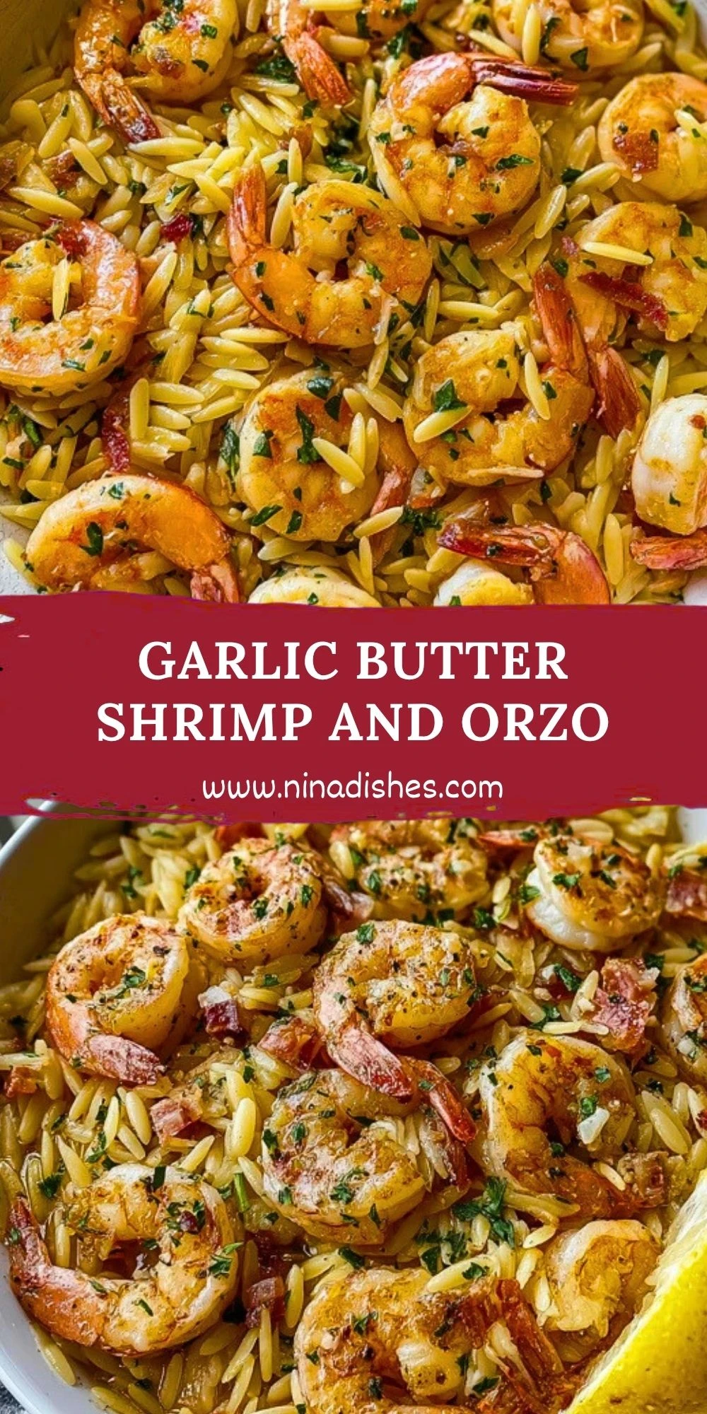 Garlic Butter Shrimp and Orzo (2)
