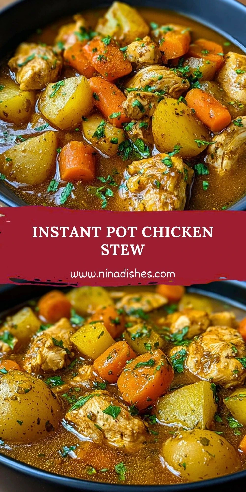 Instant Pot Chicken Stew (2)