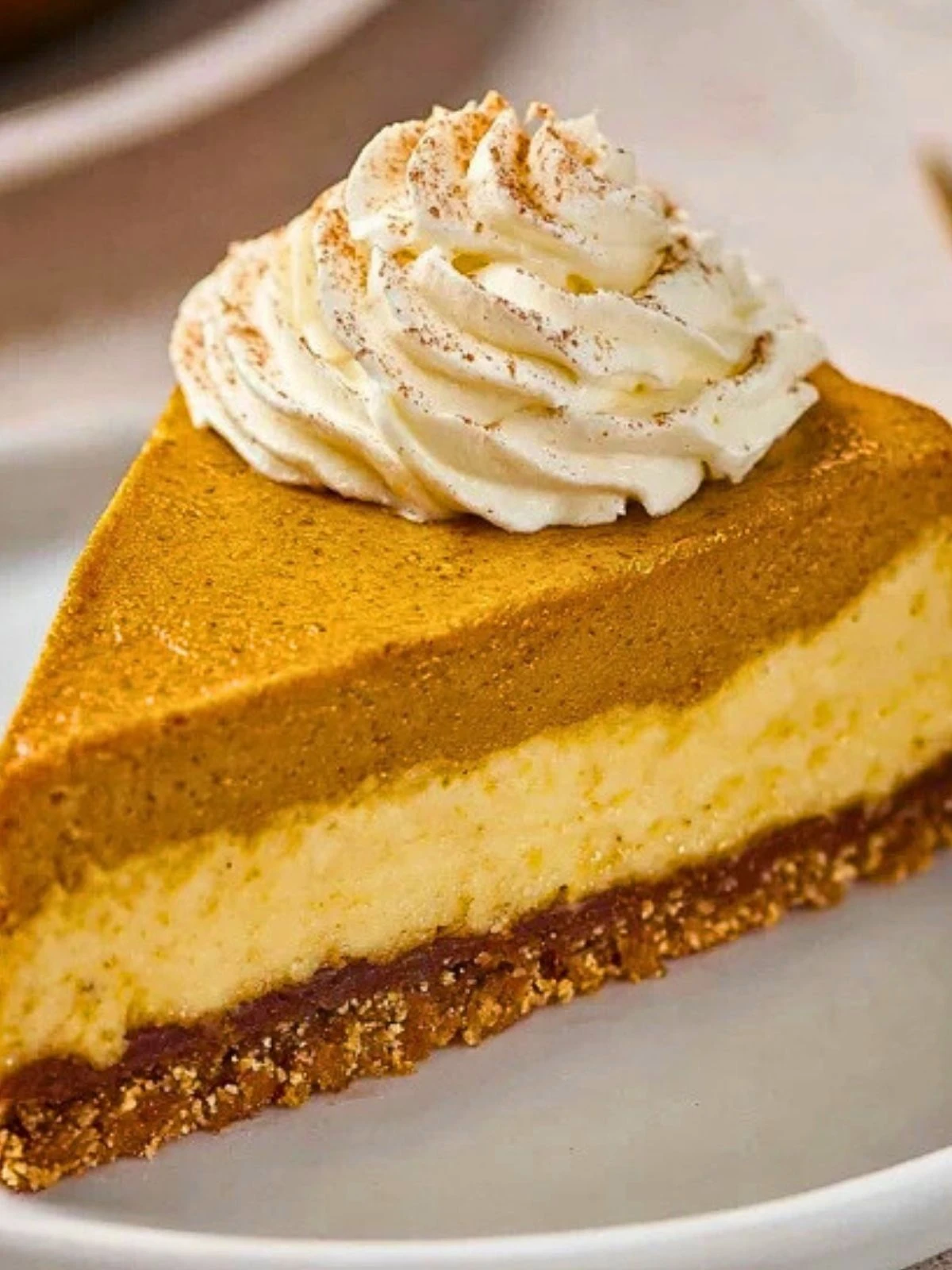 Layered Pumpkin Cheesecake 2