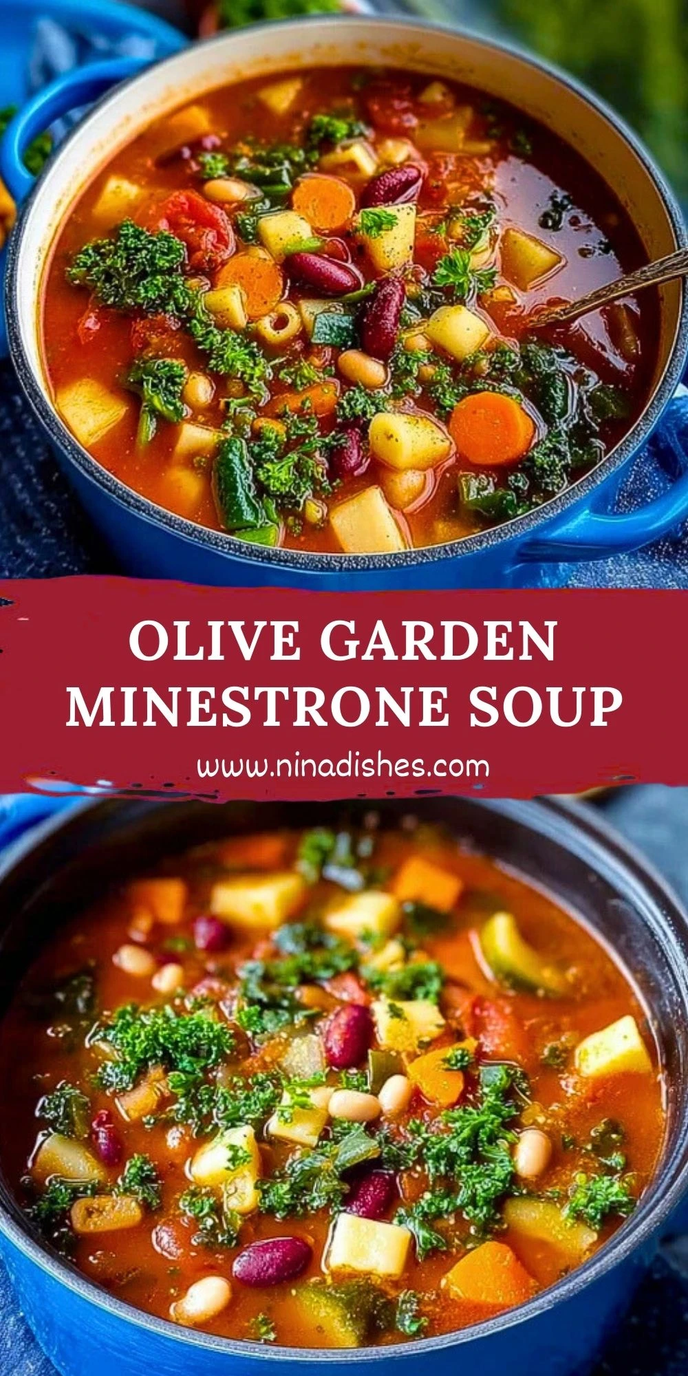 Olive Garden Minestrone Soup (2)