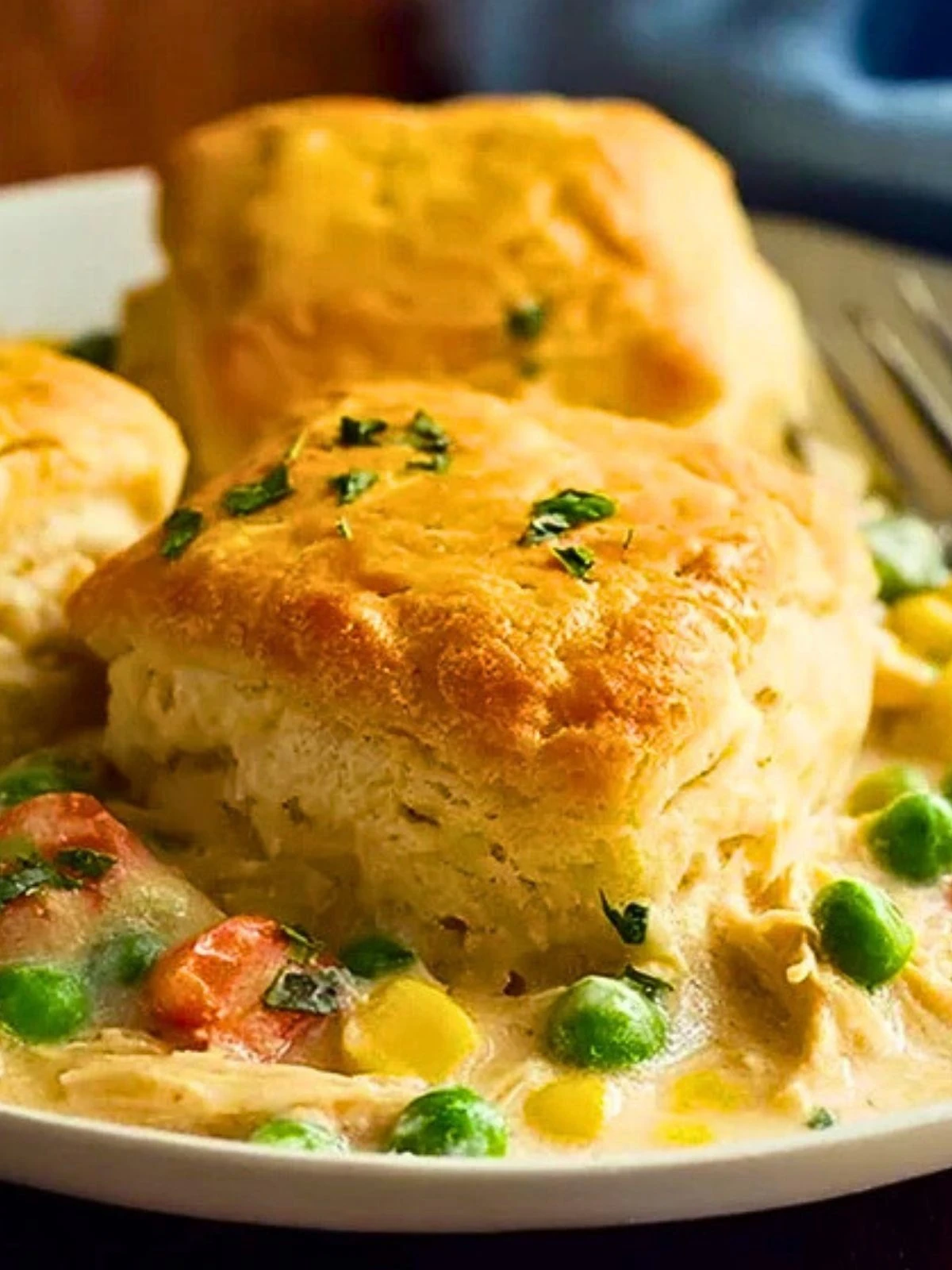 Simple Chicken Pot Pie with Biscuits (1)