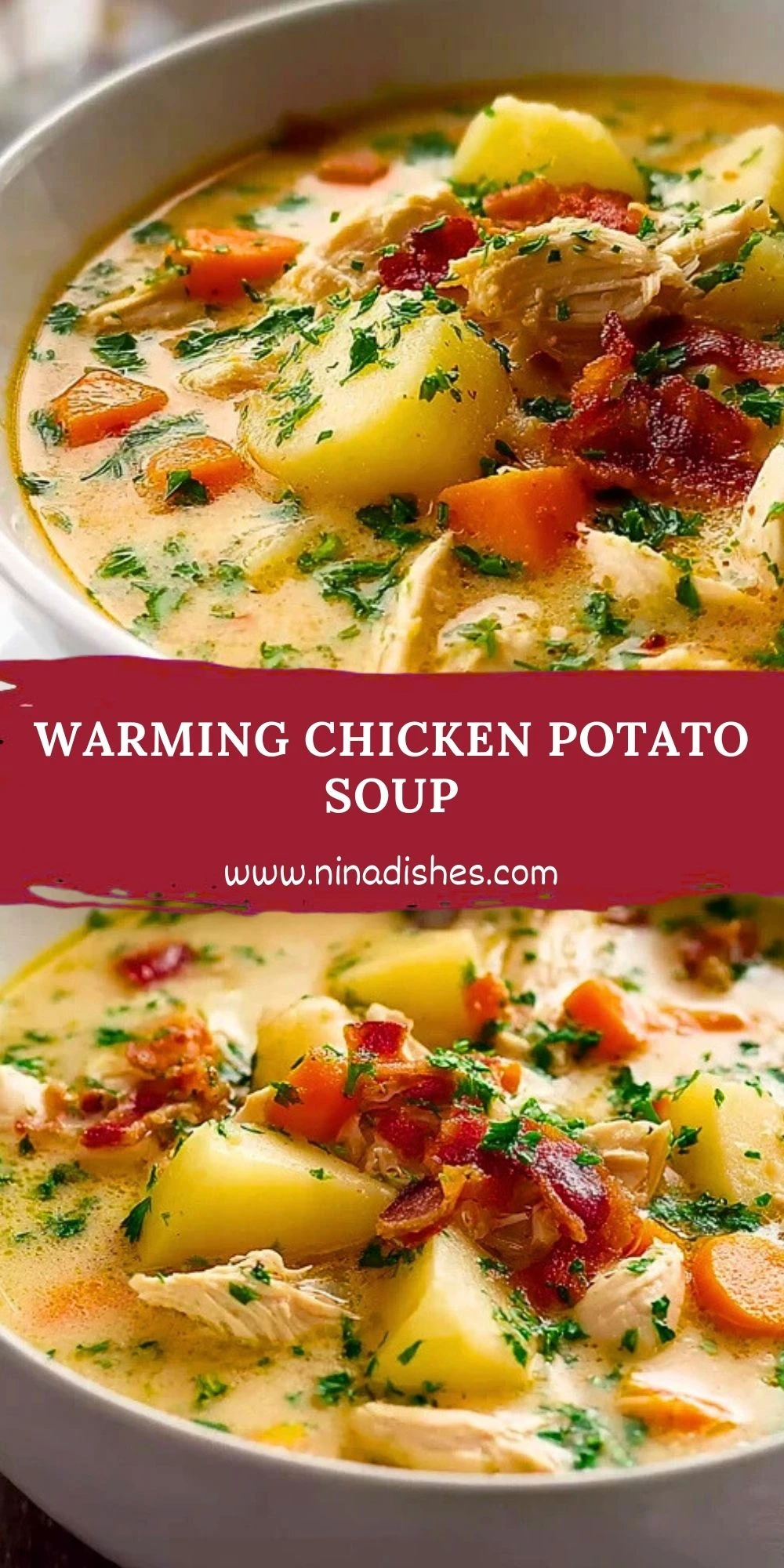 Warming Chicken Potato Soup (2)