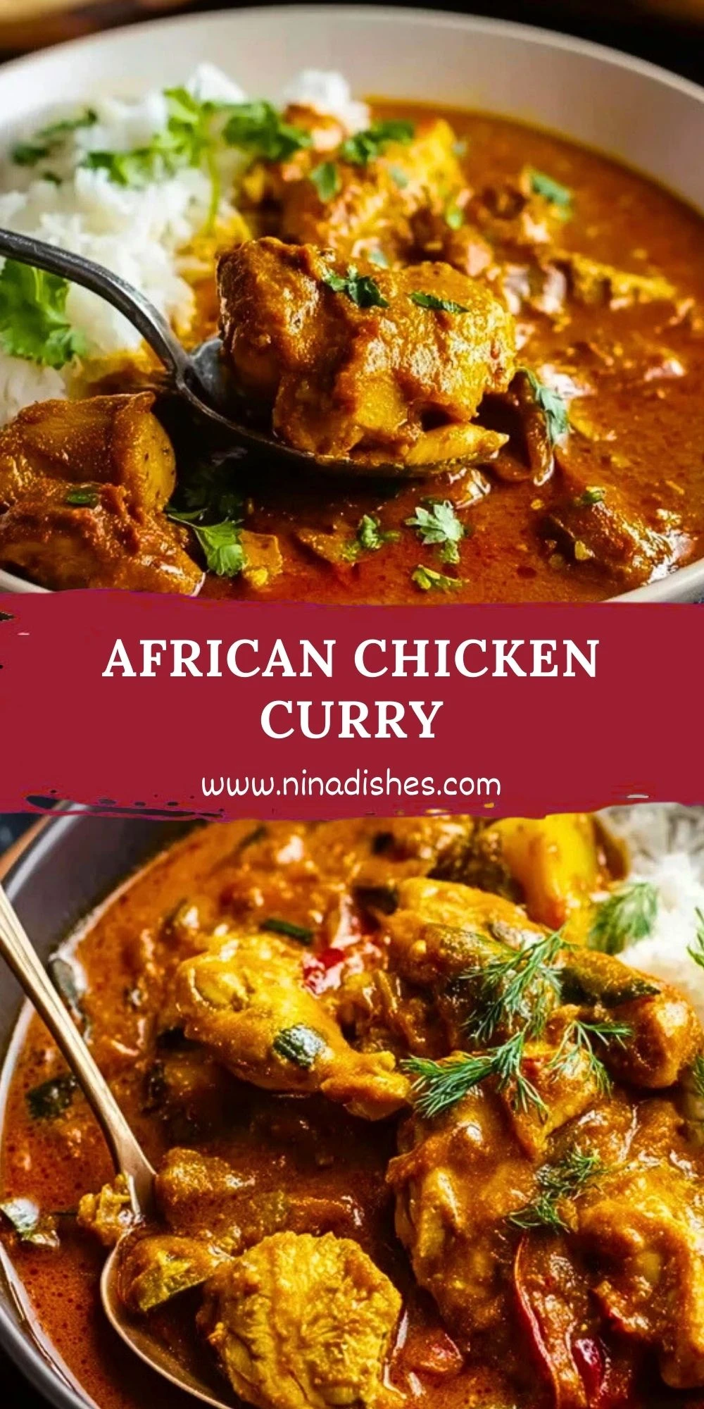 African Chicken Curry (2)