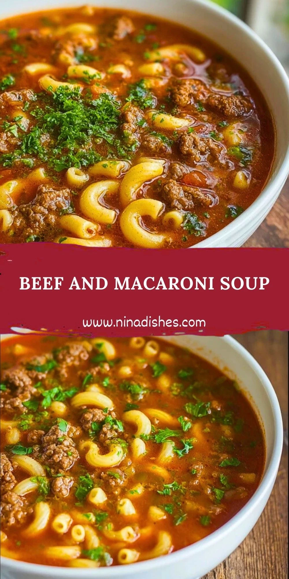 Beef and Macaroni Soup (2)