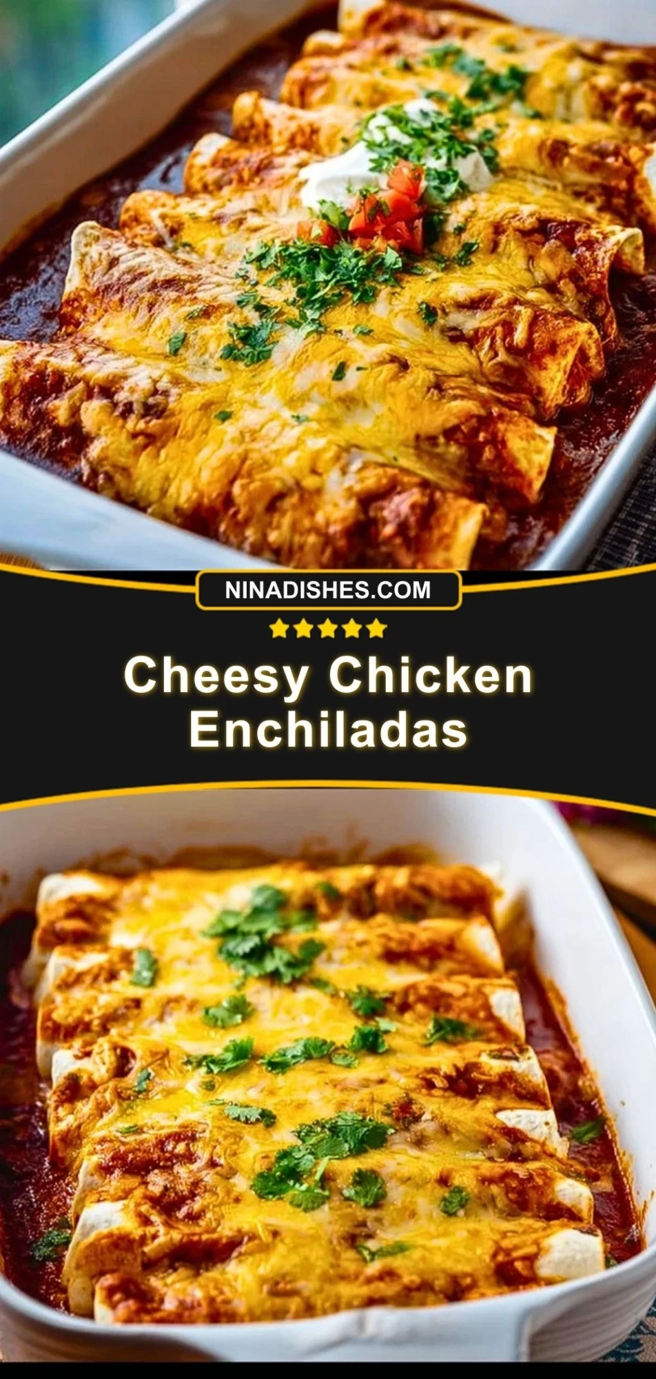 Cheesy Chicken Enchiladas (3)