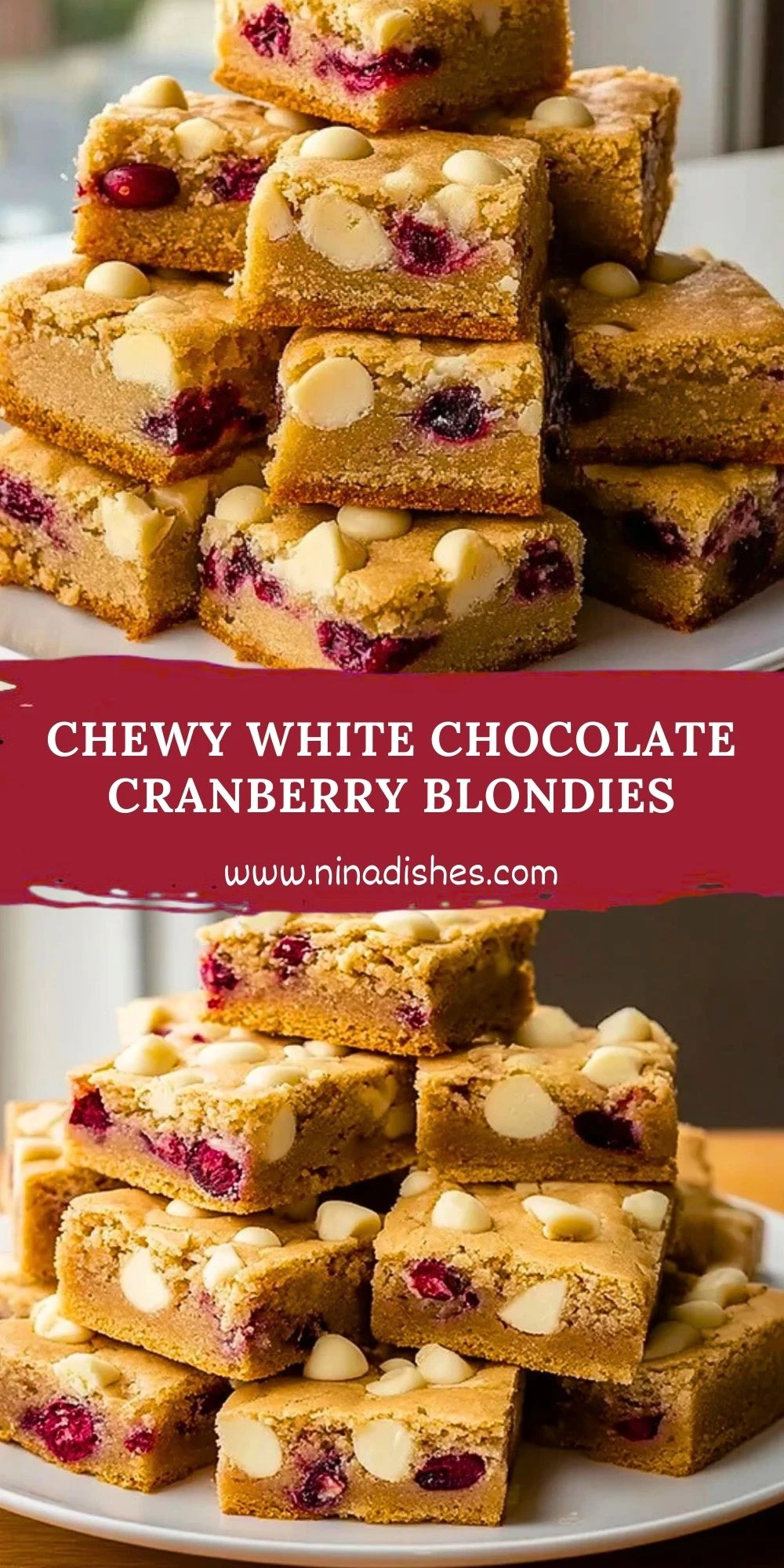 Chewy White Chocolate Cranberry Blondies (2)