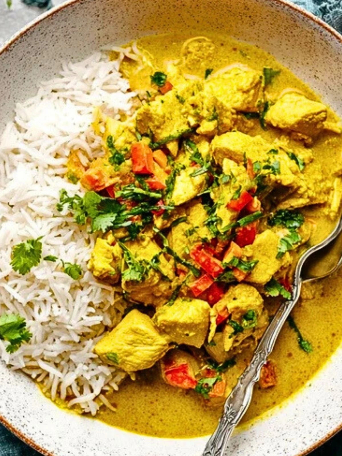 Coconut Curry Chicken (1)
