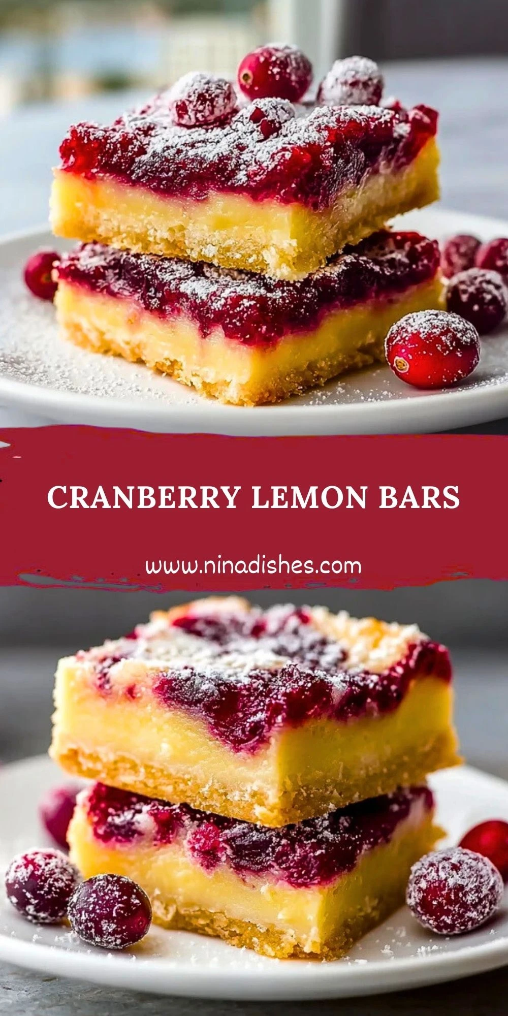 Cranberry Lemon Bars (2)