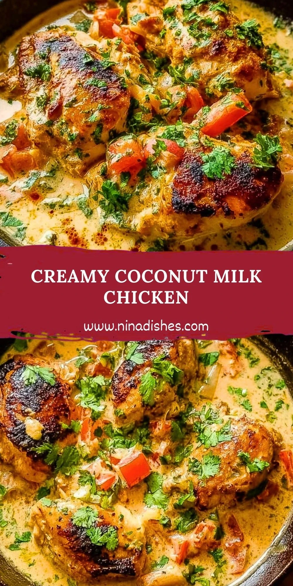 Creamy Coconut Milk Chicken (2)