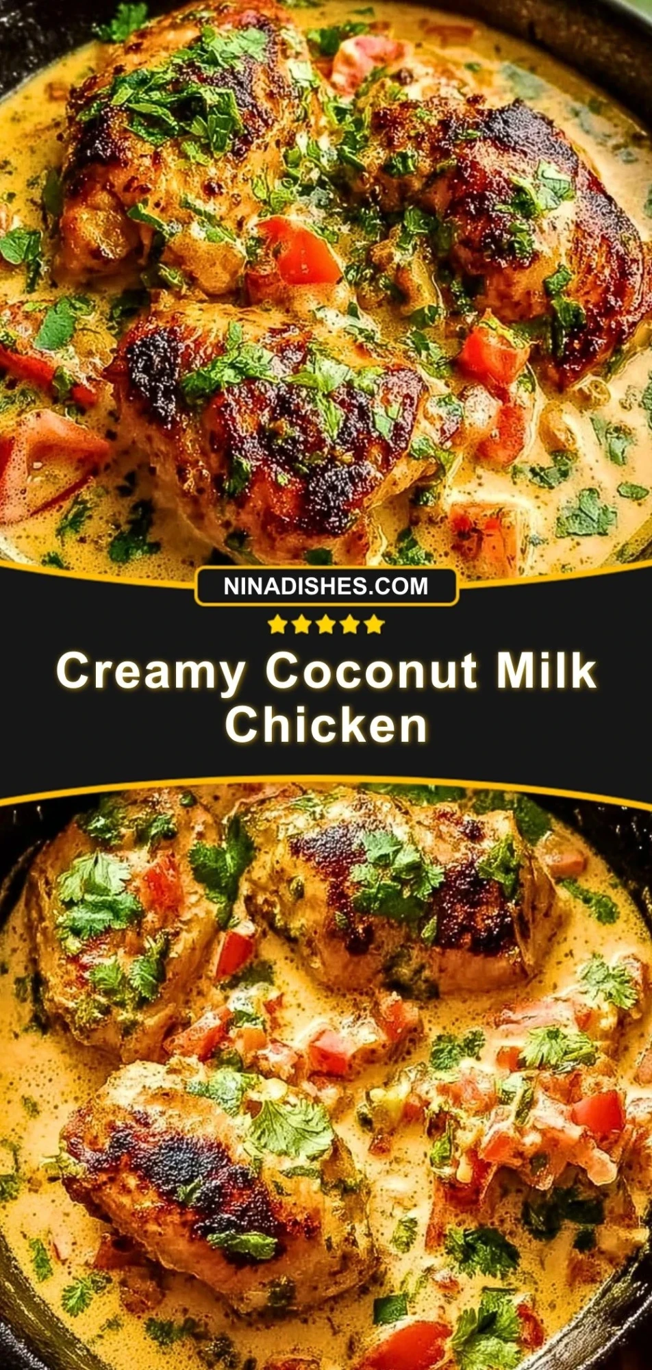 Creamy Coconut Milk Chicken (3)