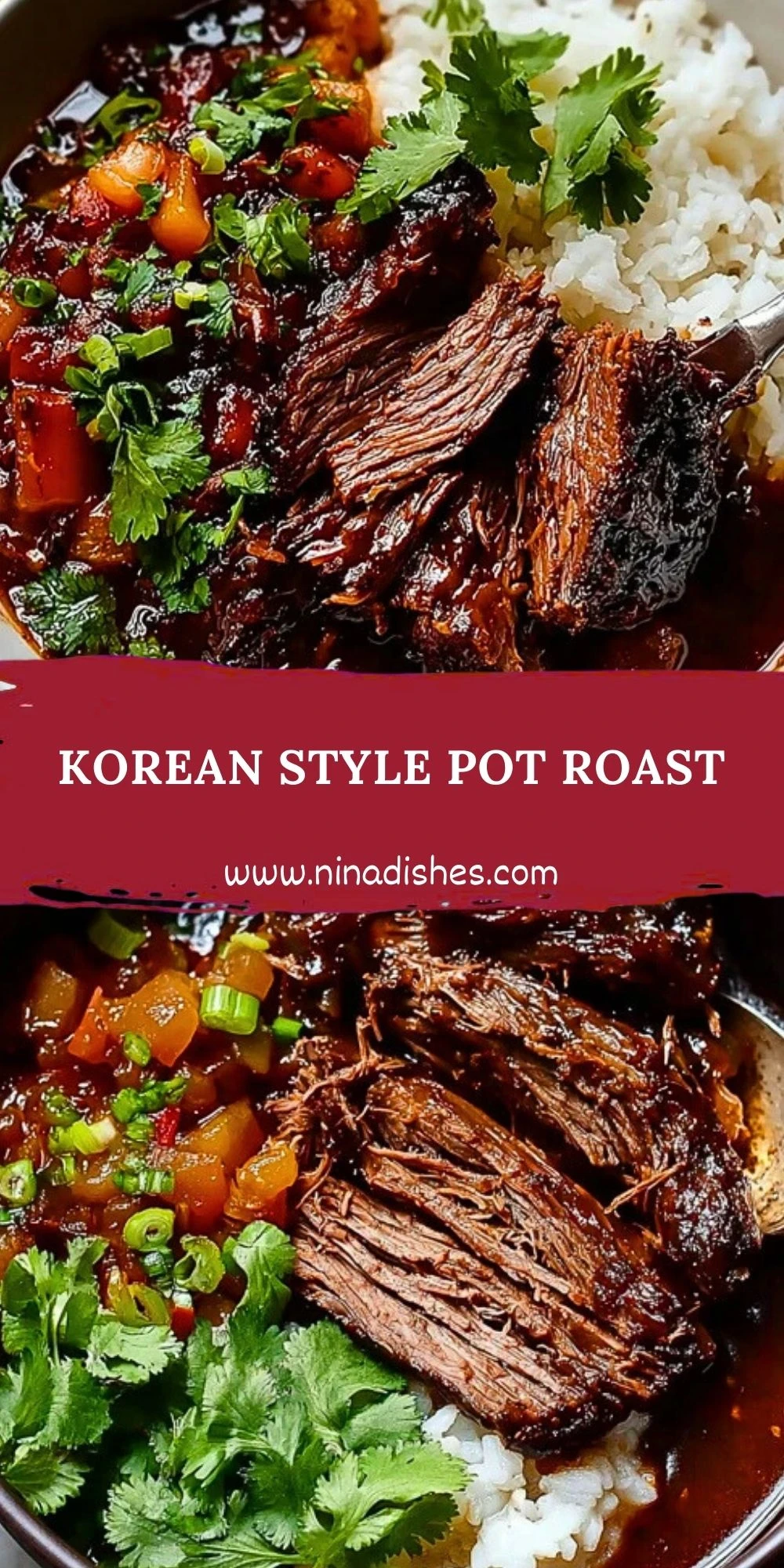 Korean Style Pot Roast (2)
