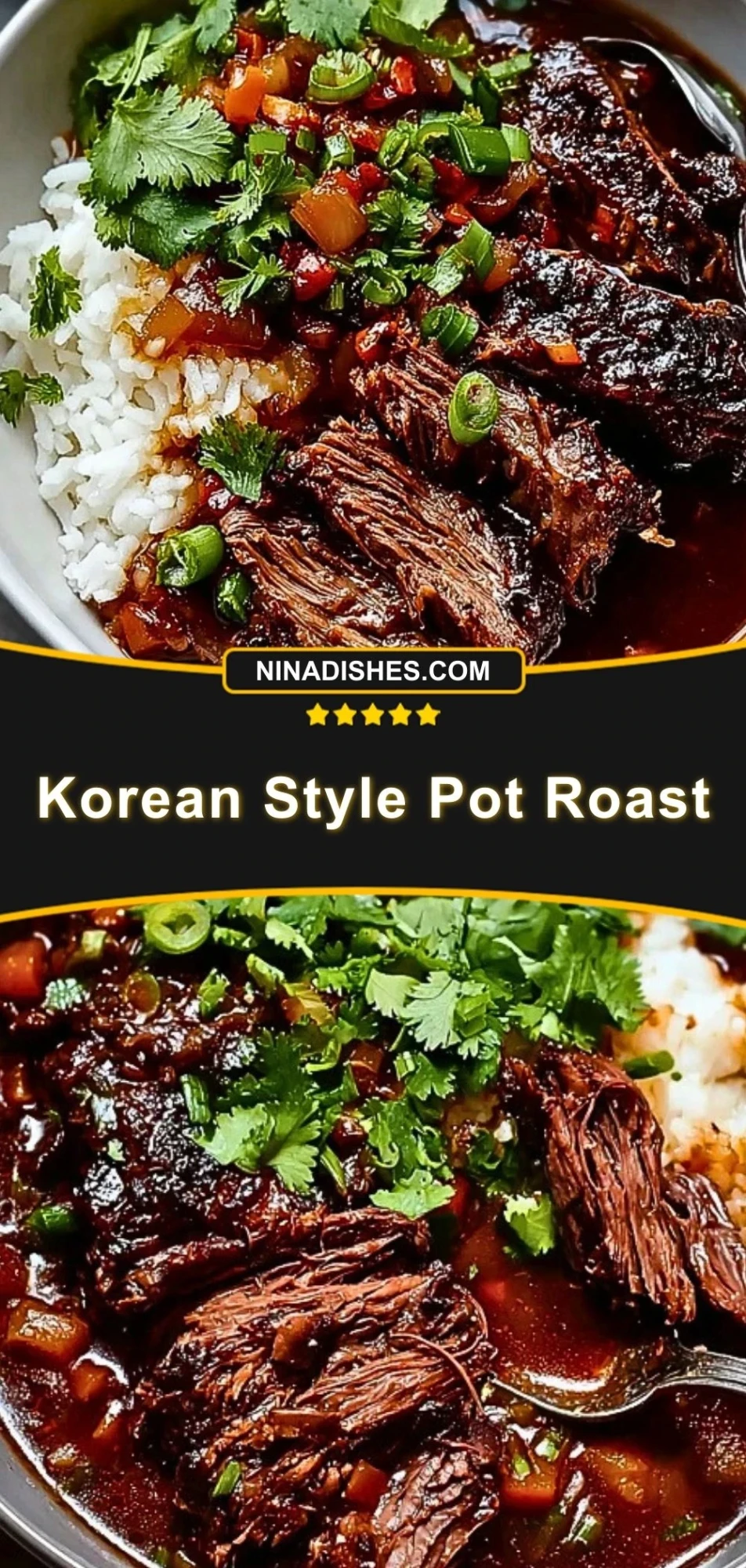 Korean Style Pot Roast (3)