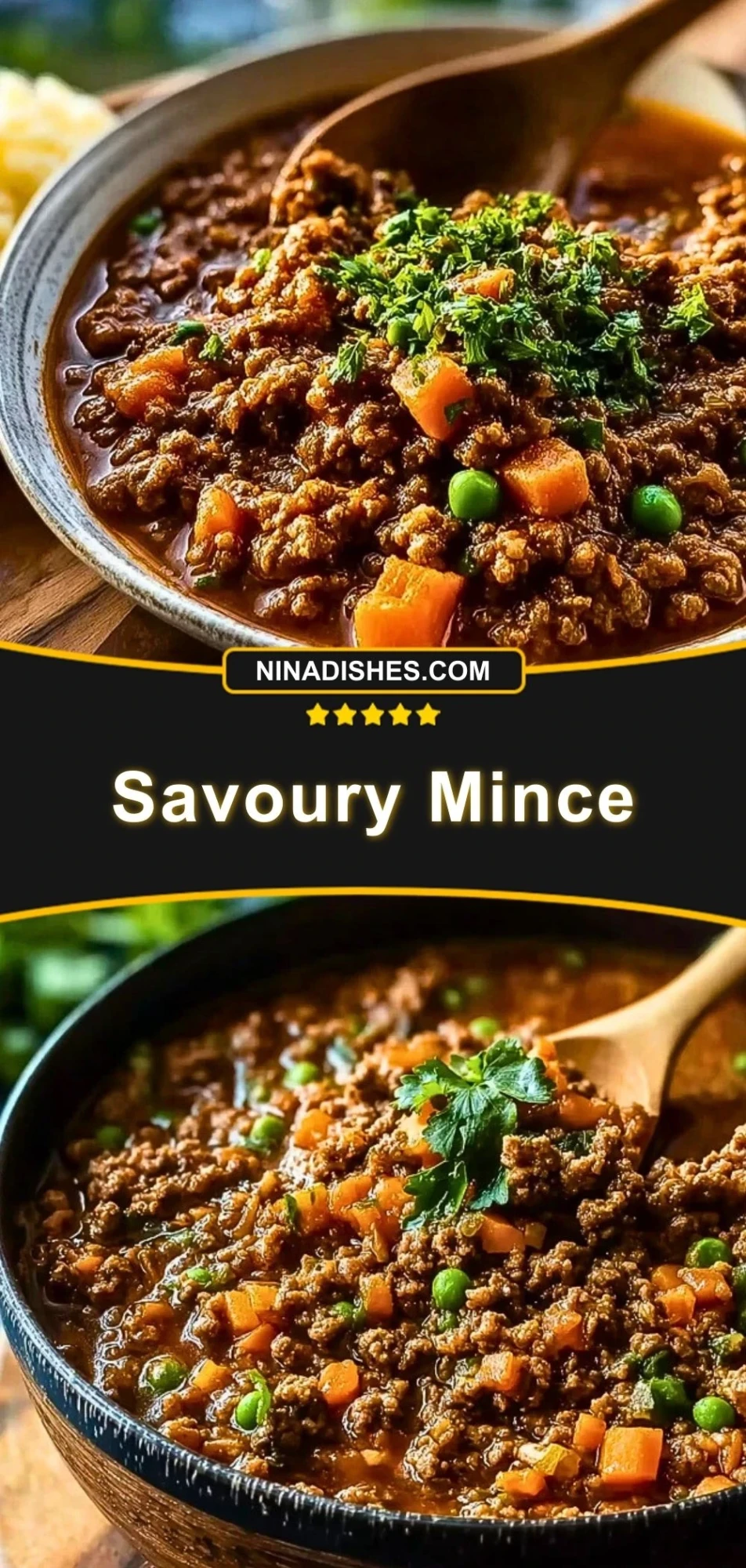 Savoury Mince (3)