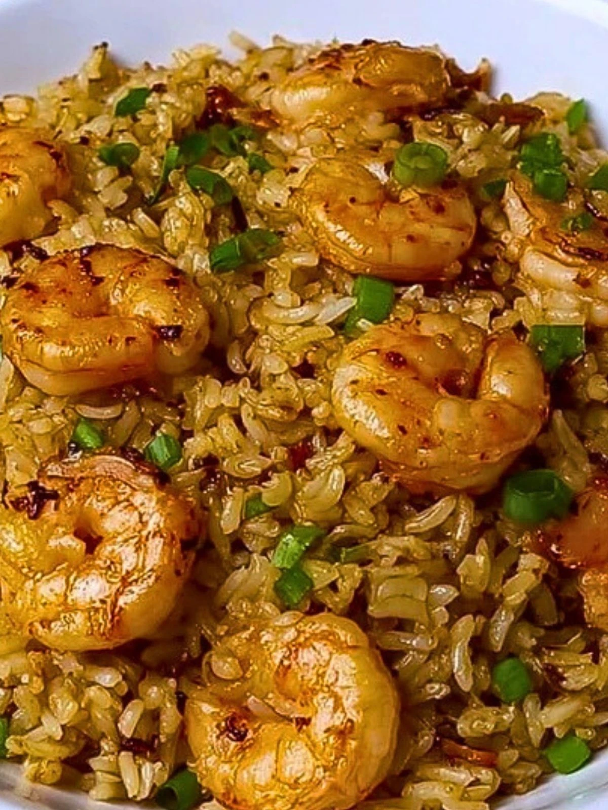Shrimp Dirty Rice (1)