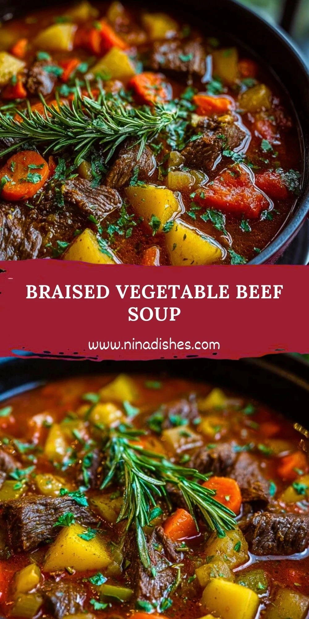 Braised Vegetable Beef Soup (2)