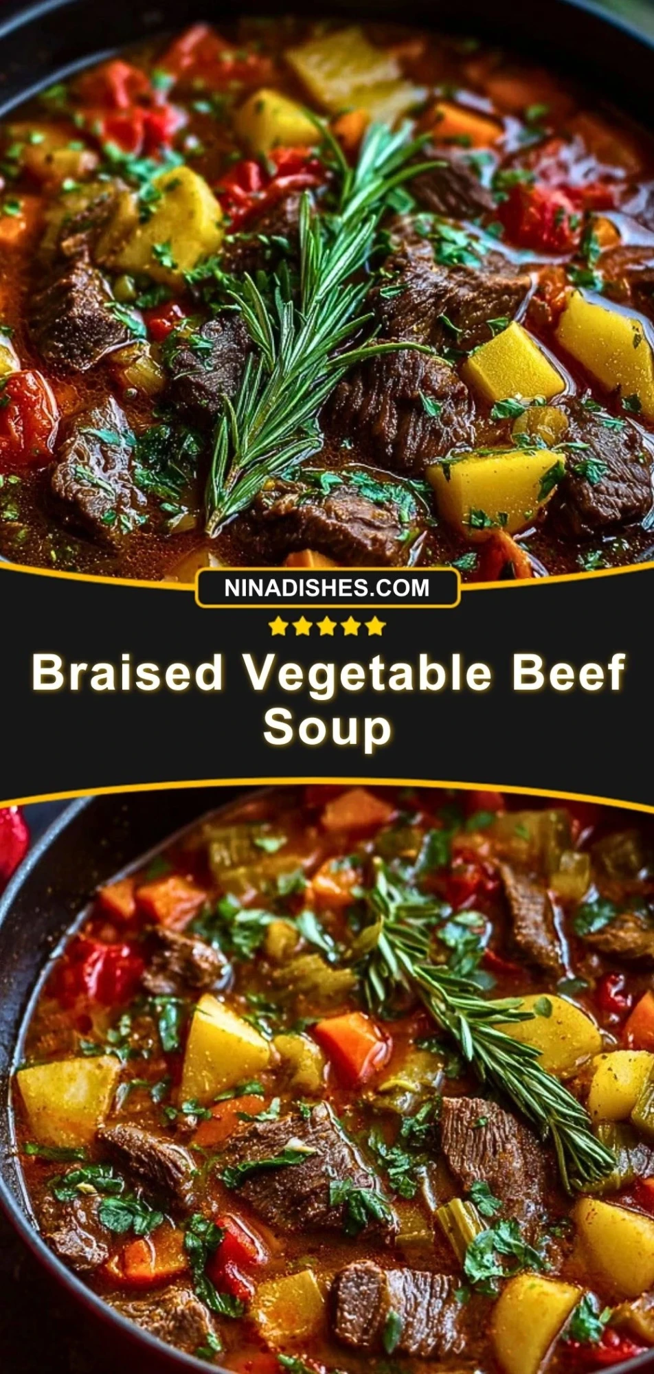 Braised Vegetable Beef Soup (3)