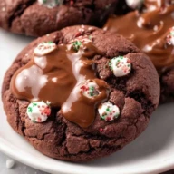Chewy Hot Cocoa Cookies