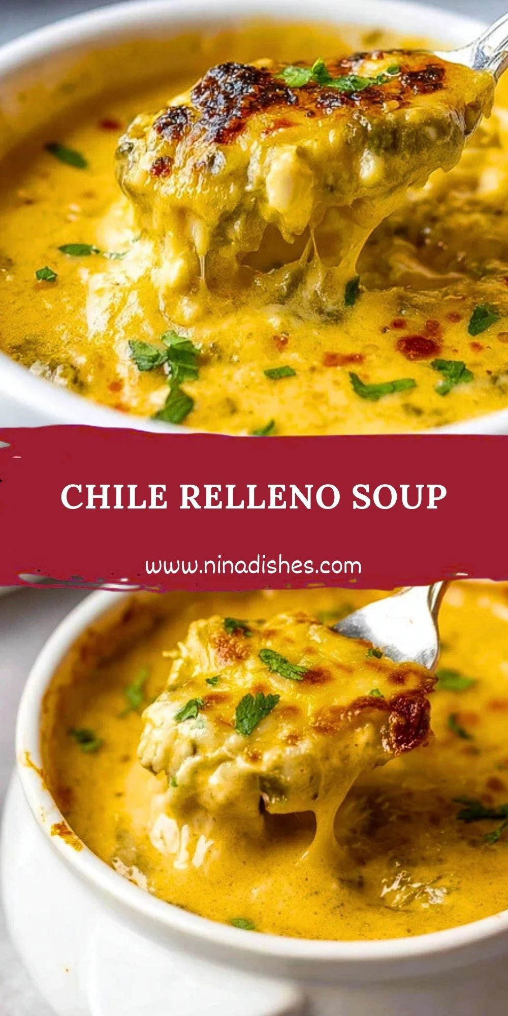 Chile Relleno Soup (2)
