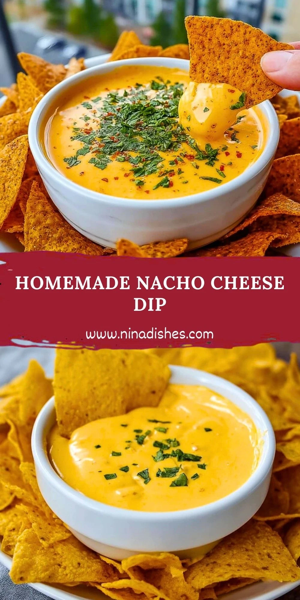 Homemade Nacho Cheese Dip (2)