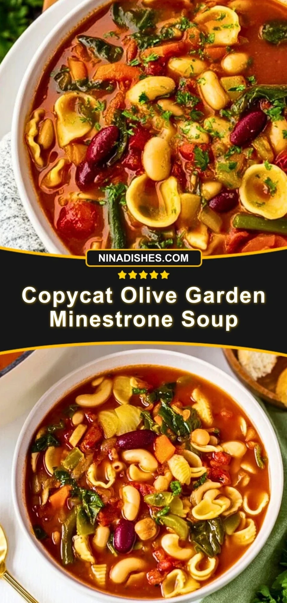 Copycat Olive Garden Minestrone Soup (3)
