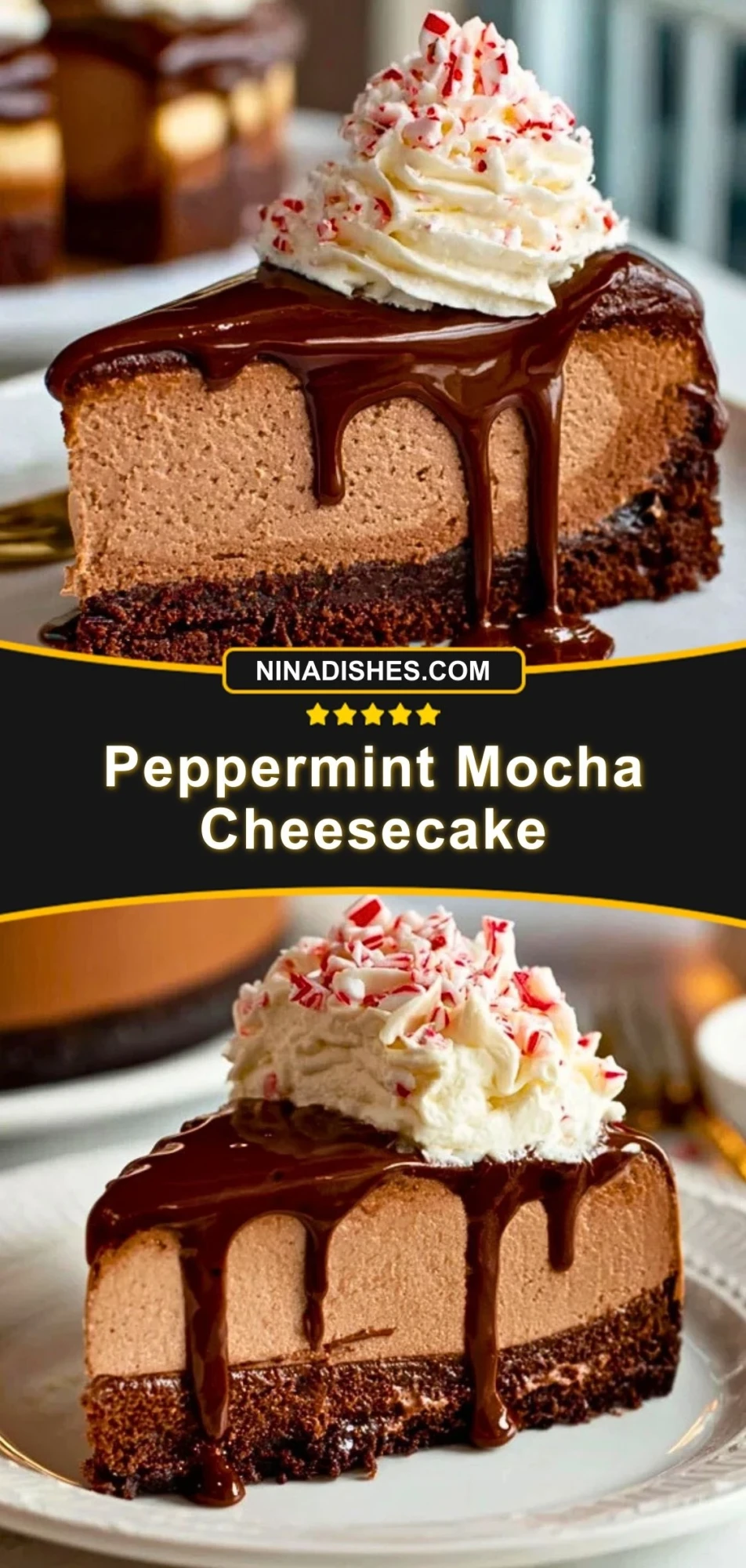 Peppermint Mocha Cheesecake (3)