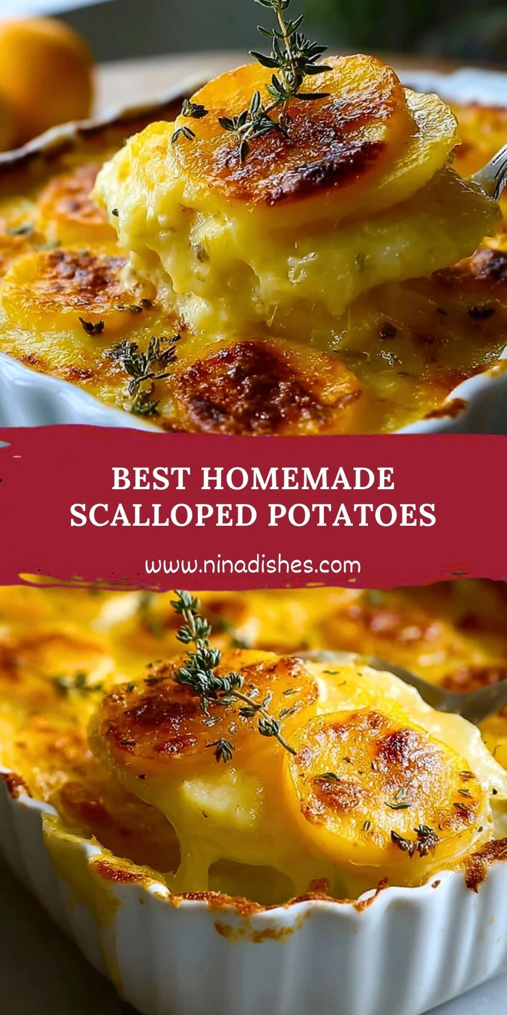 Best Homemade Scalloped Potatoes (2)