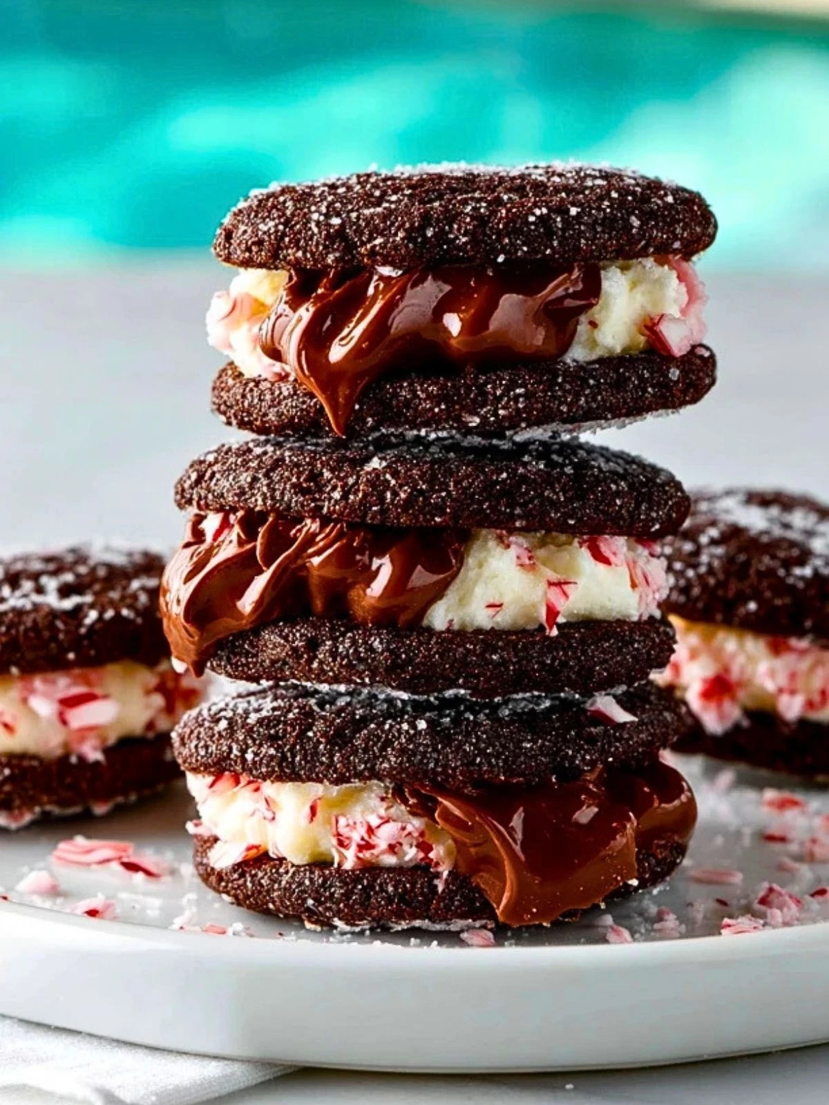 Chocolate Peppermint Sandwich Cookies (1)