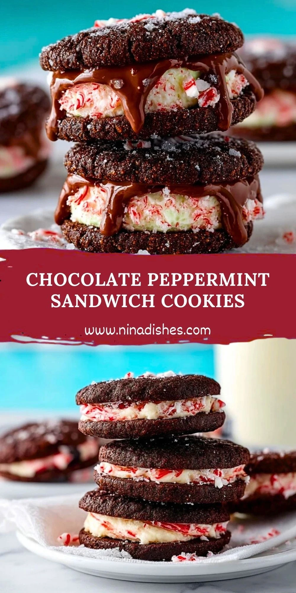 Chocolate Peppermint Sandwich Cookies (2)