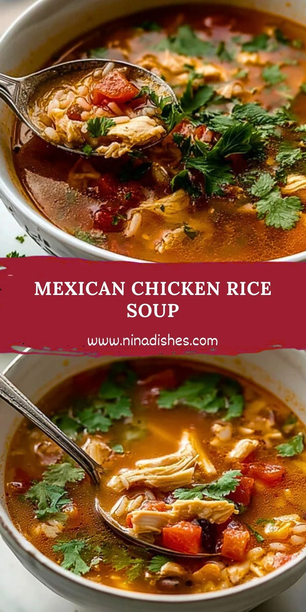 Mexican Chicken Rice Soup (2)