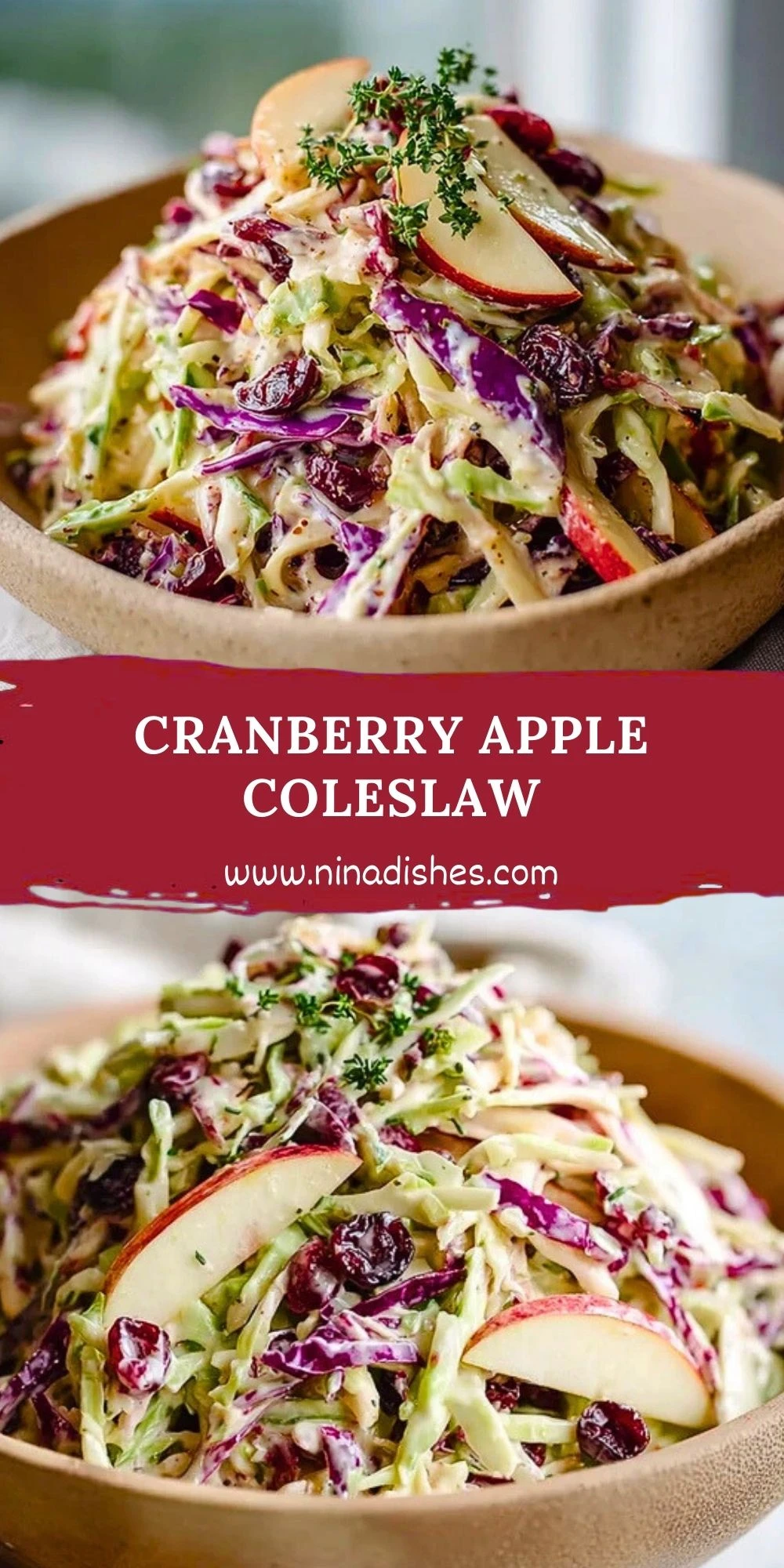 Cranberry Apple Coleslaw (2)